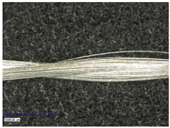 Polymers 14 02525 i001