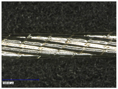 Polymers 14 02525 i002