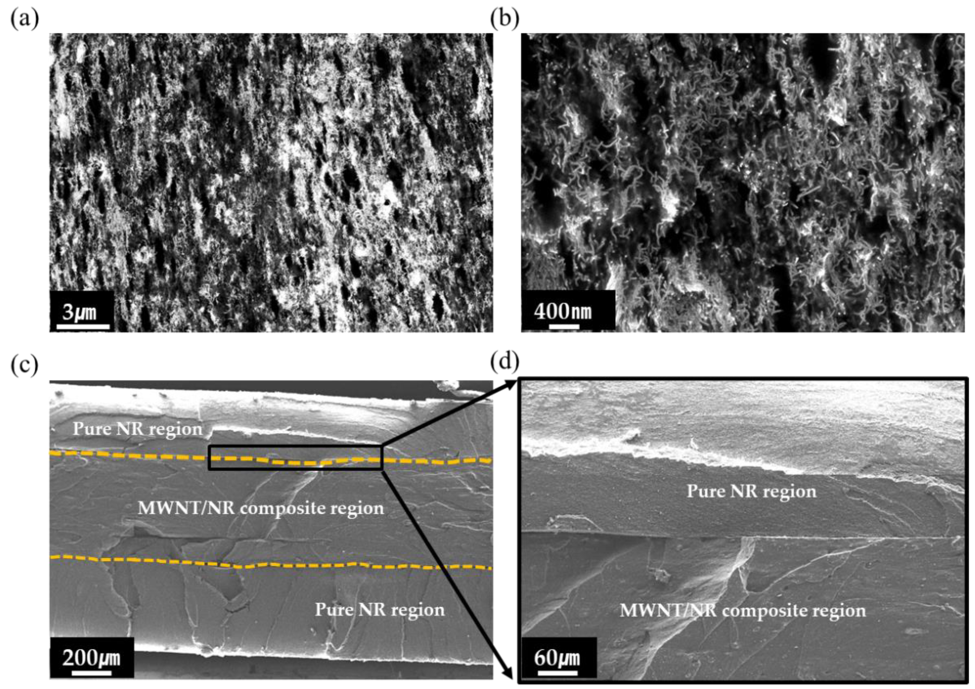 Polymers 14 02551 g002
