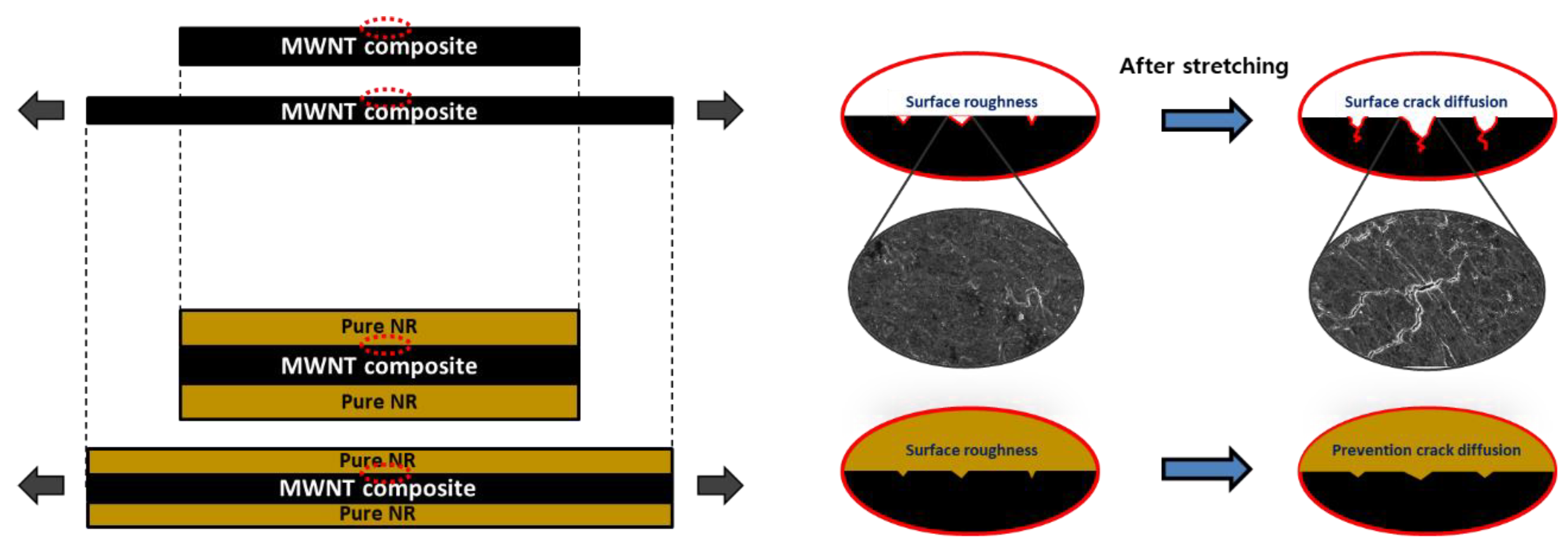 Polymers 14 02551 g008
