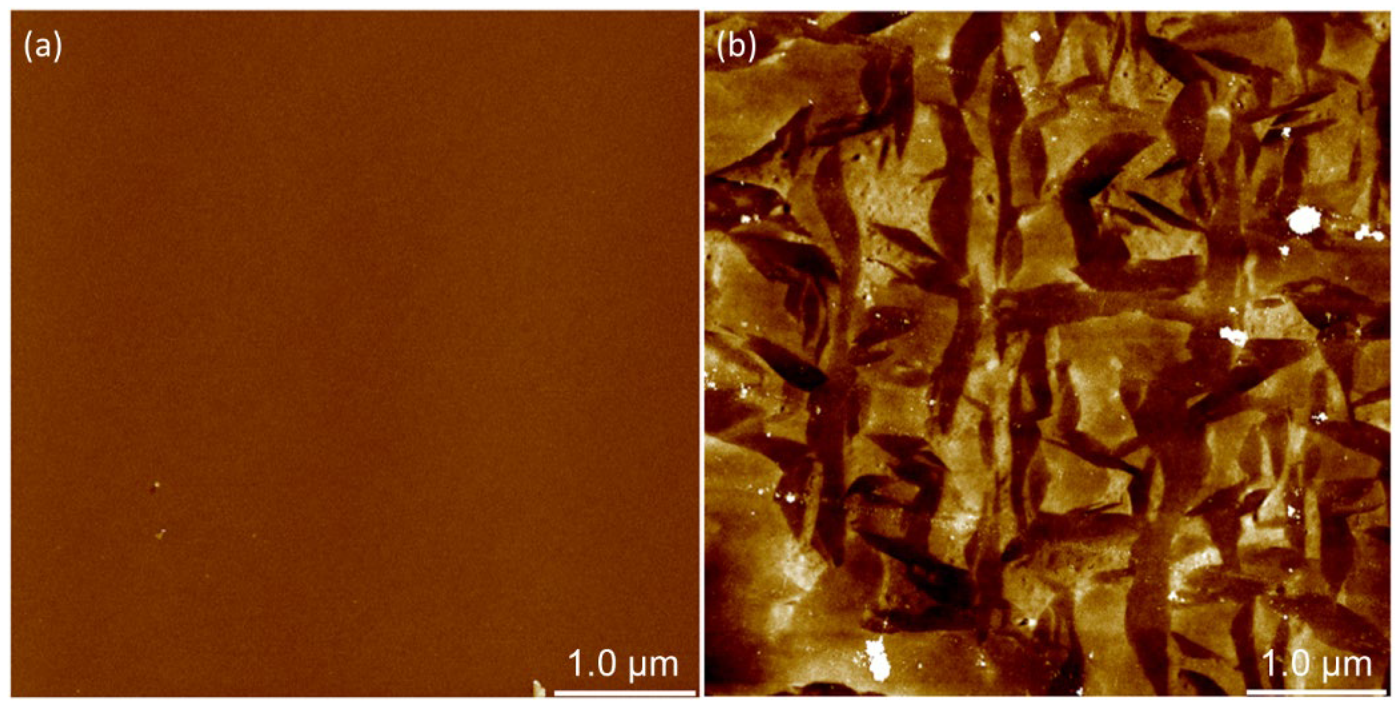 Polymers 14 02566 g002