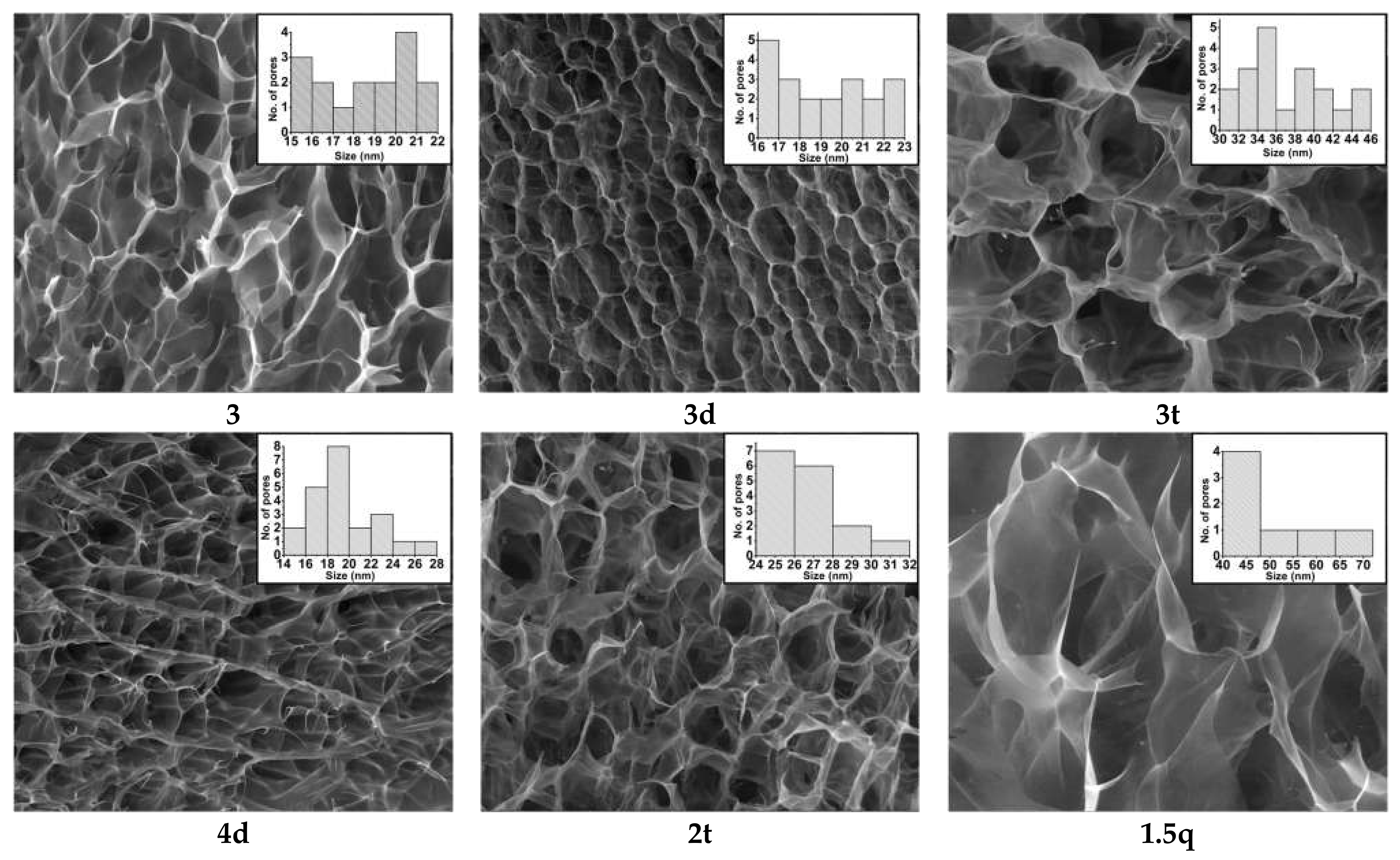 Polymers 14 02570 g002