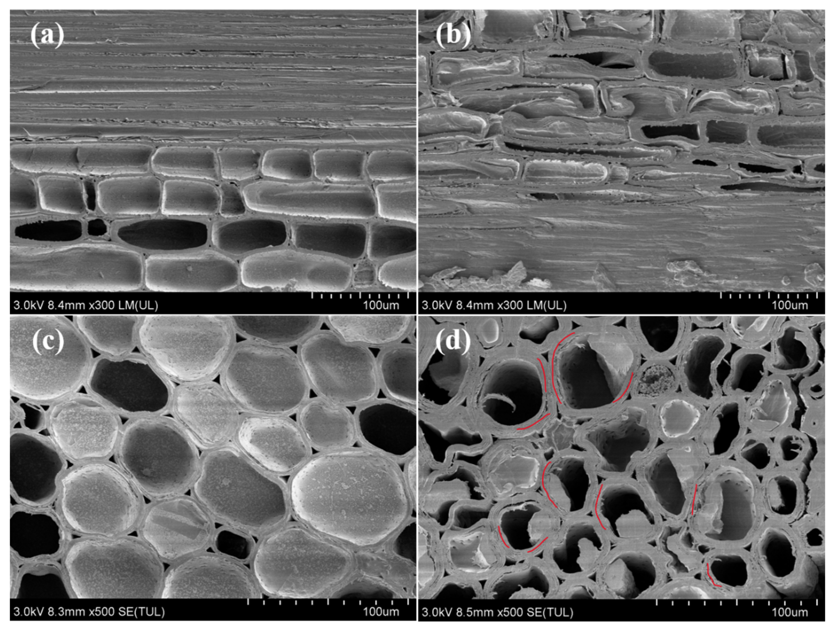 Polymers 14 02573 g001
