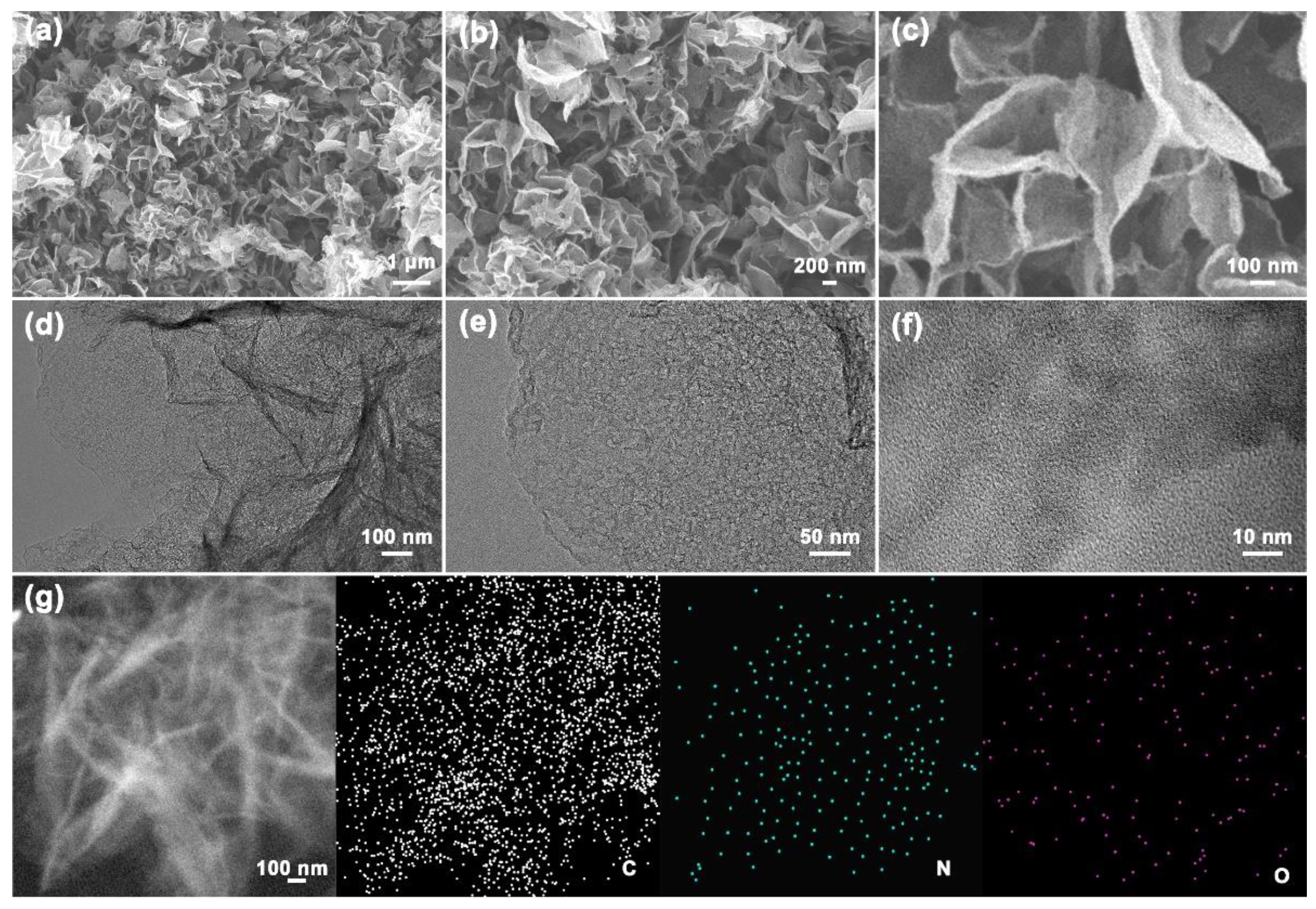 Polymers 14 02581 g002