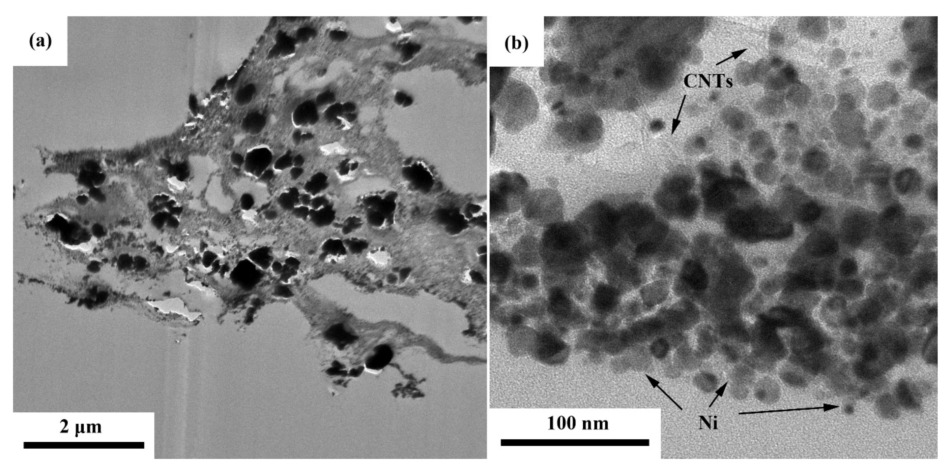 Polymers 14 02583 g007