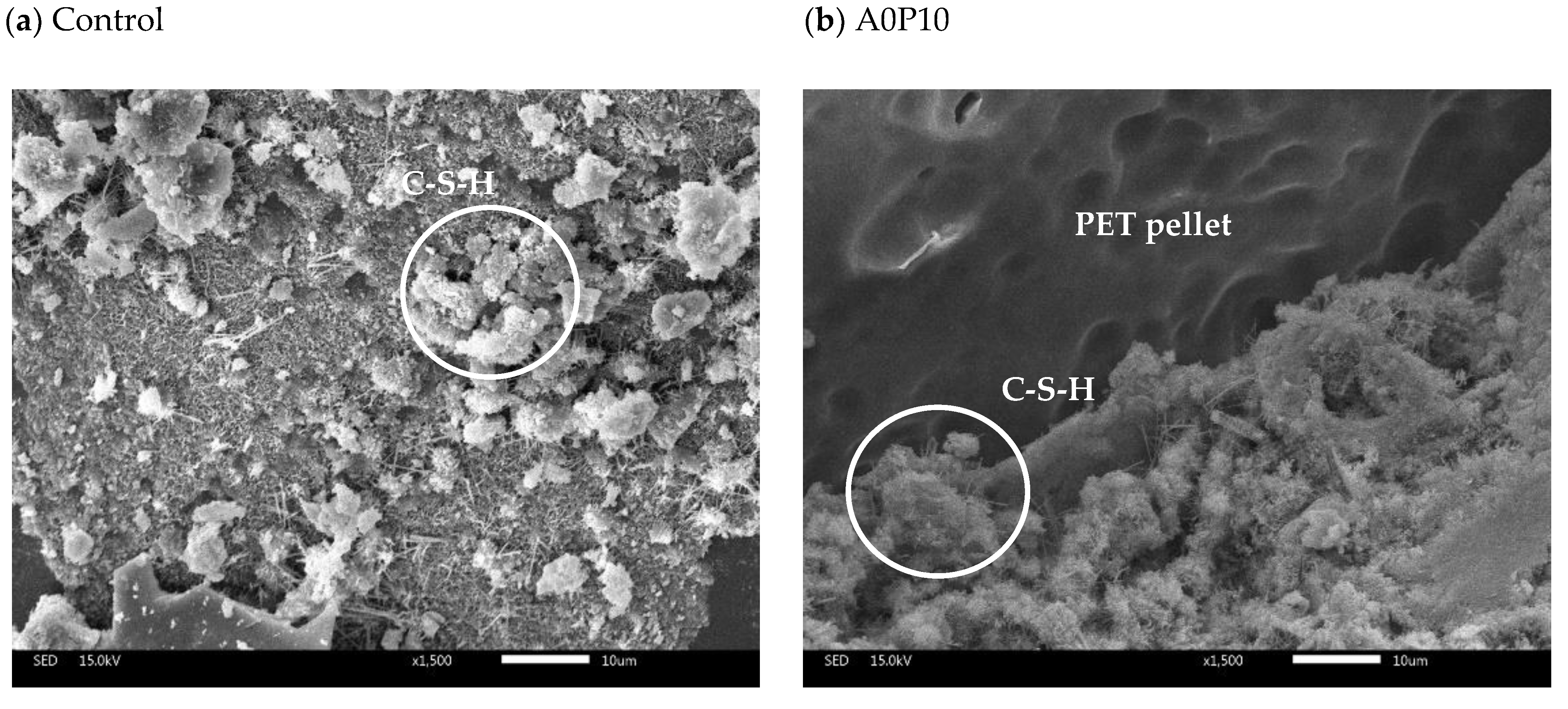 Polymers 14 02597 g012a