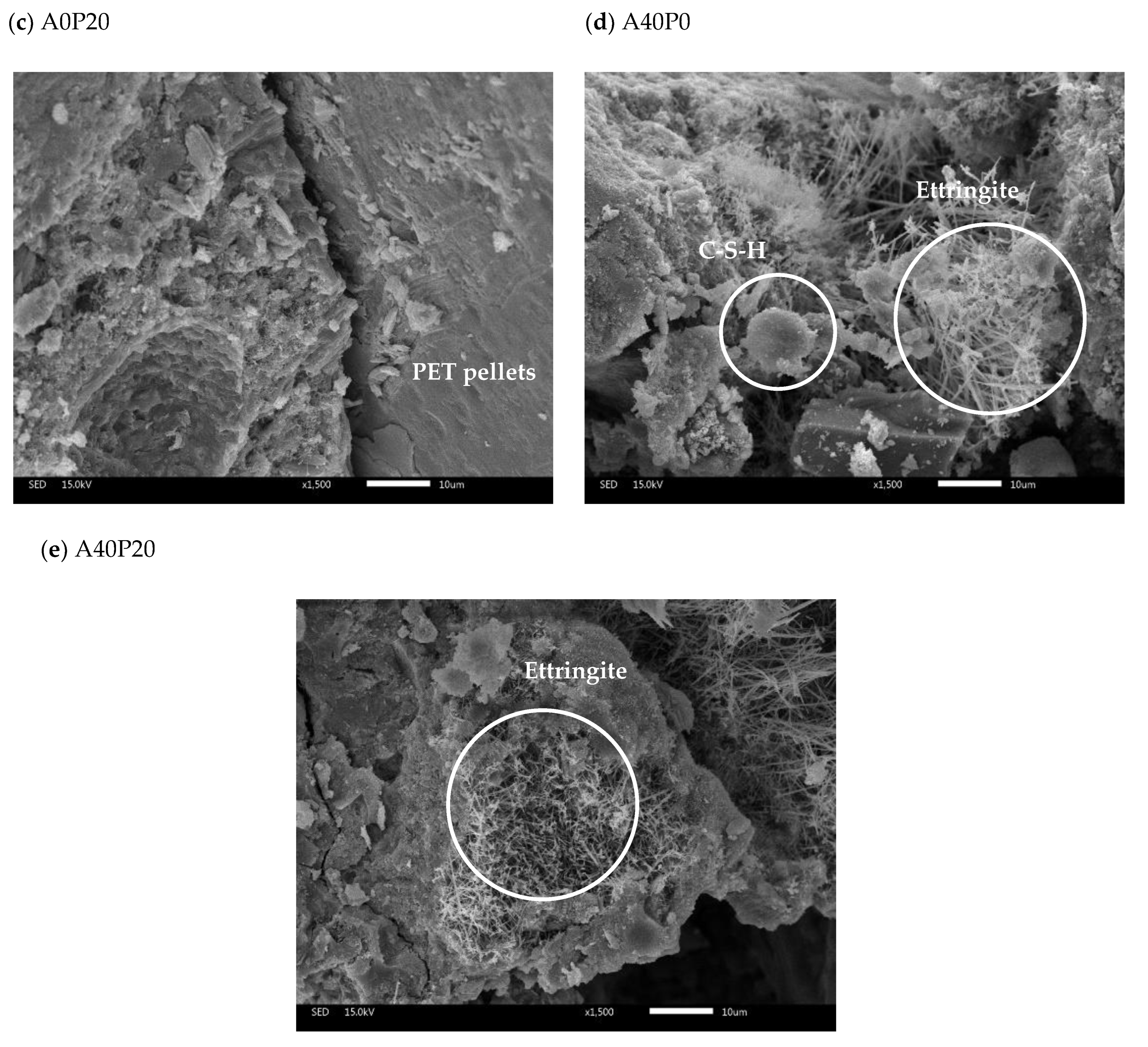 Polymers 14 02597 g012b