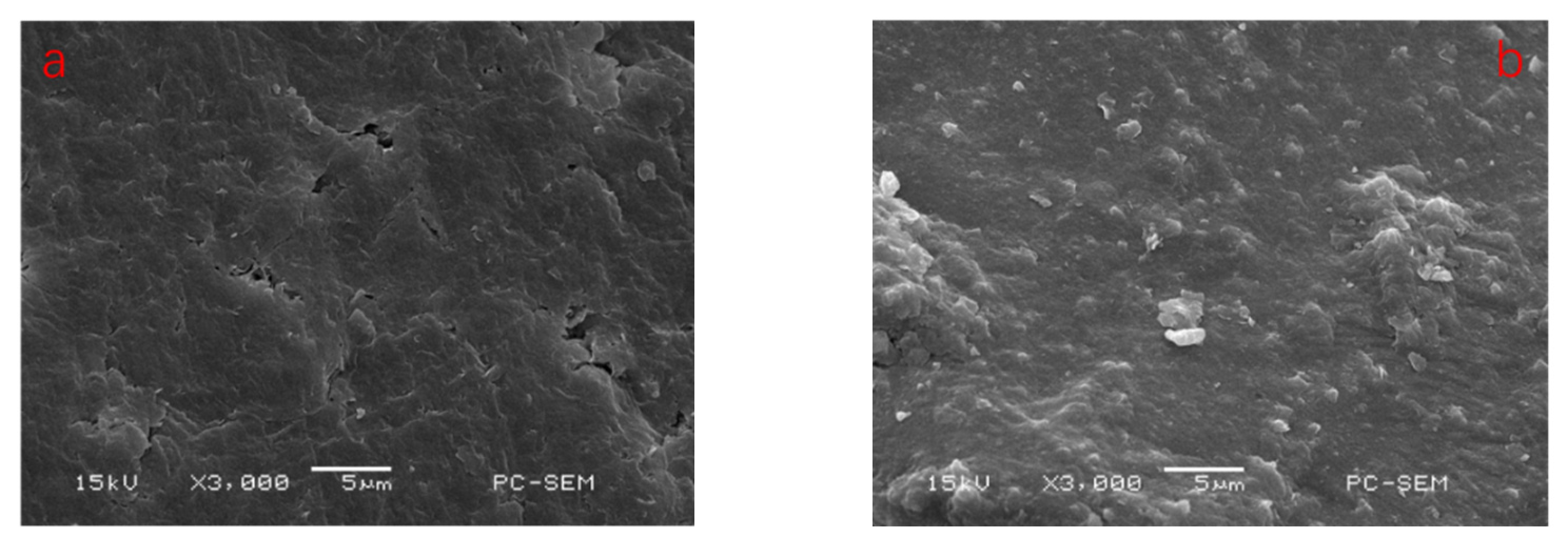 Polymers 14 02599 g010