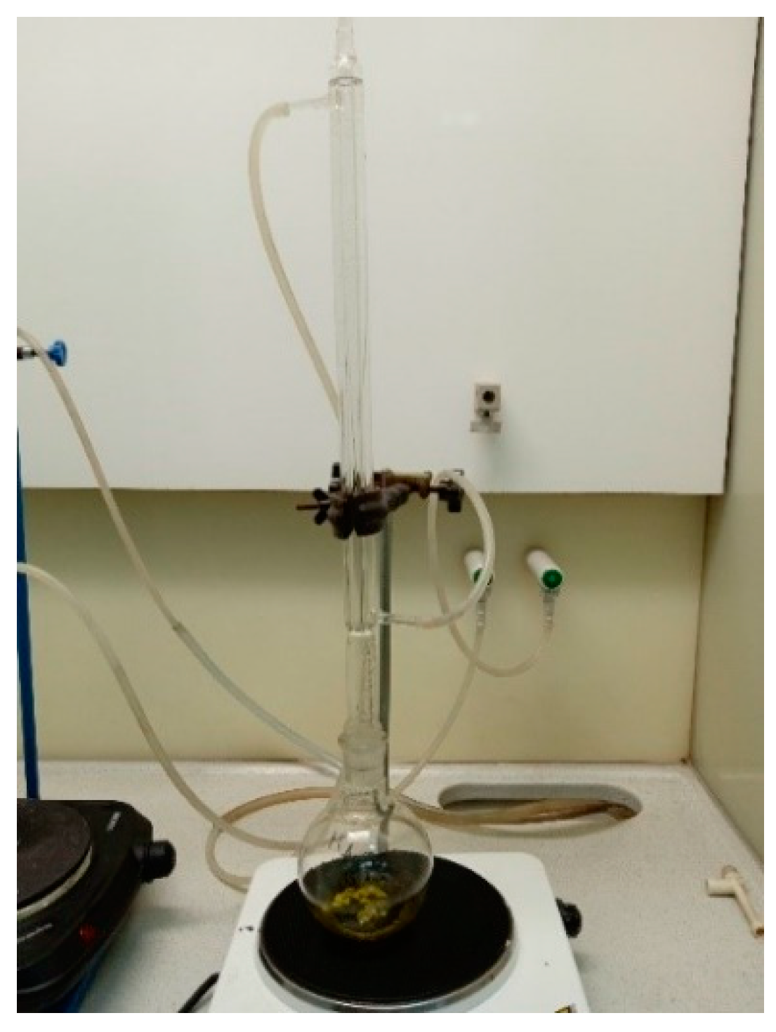 Polymers 14 02605 g001