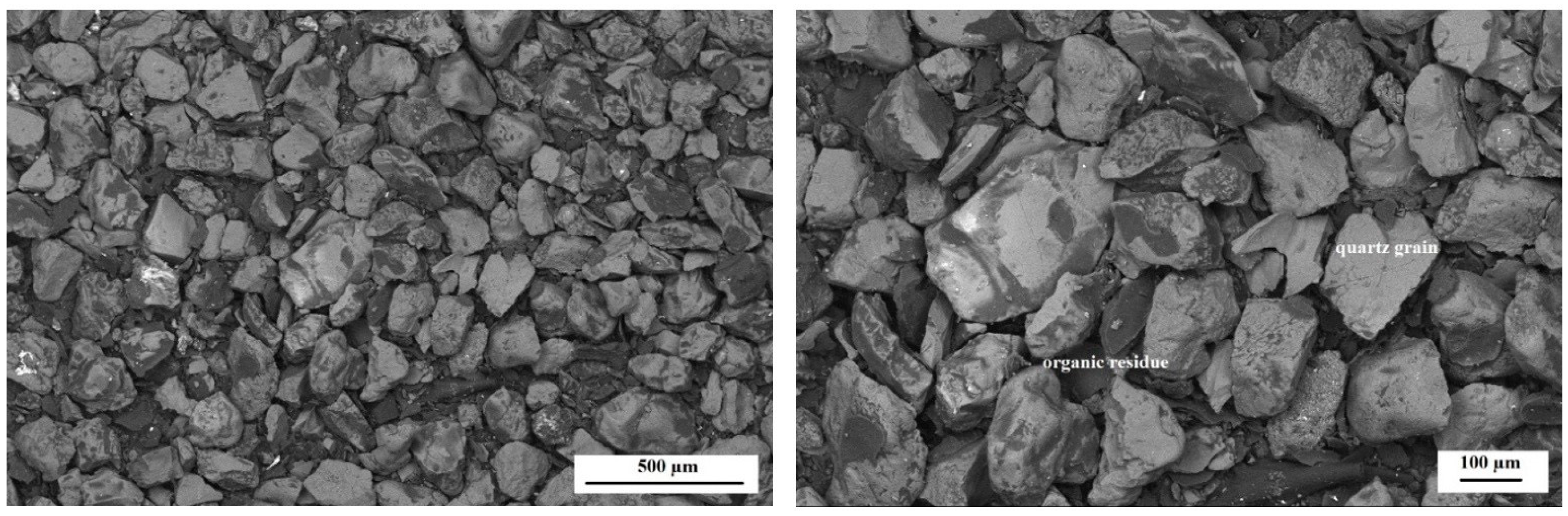 Polymers 14 02605 g012
