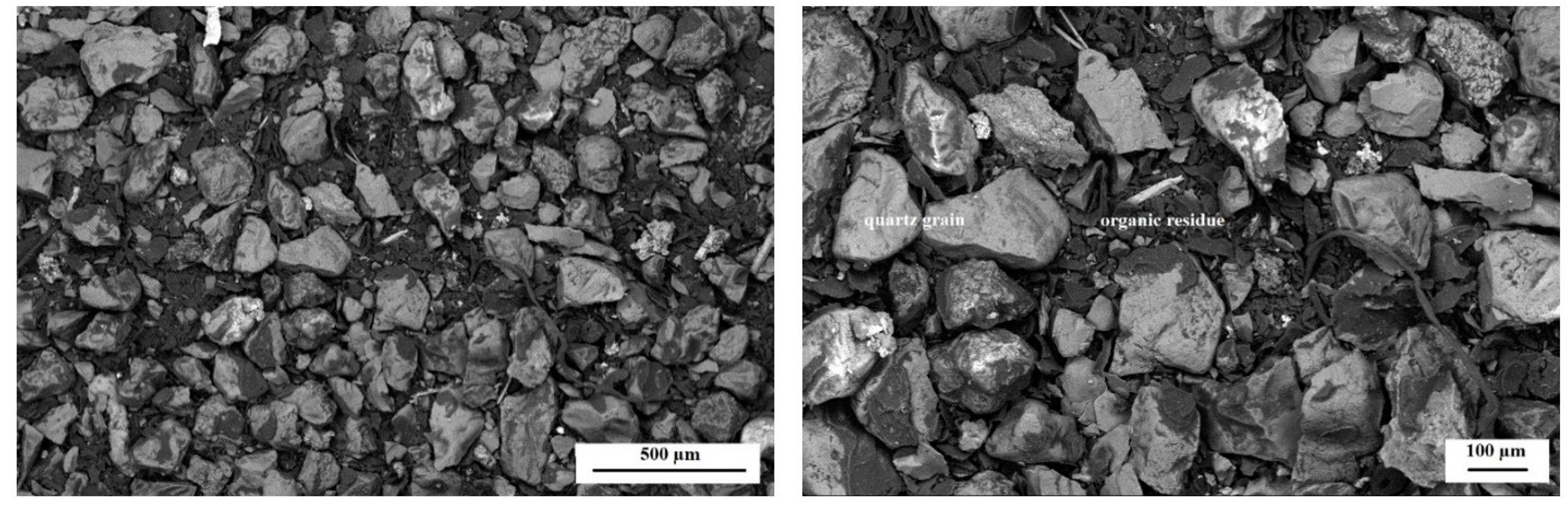 Polymers 14 02605 g014