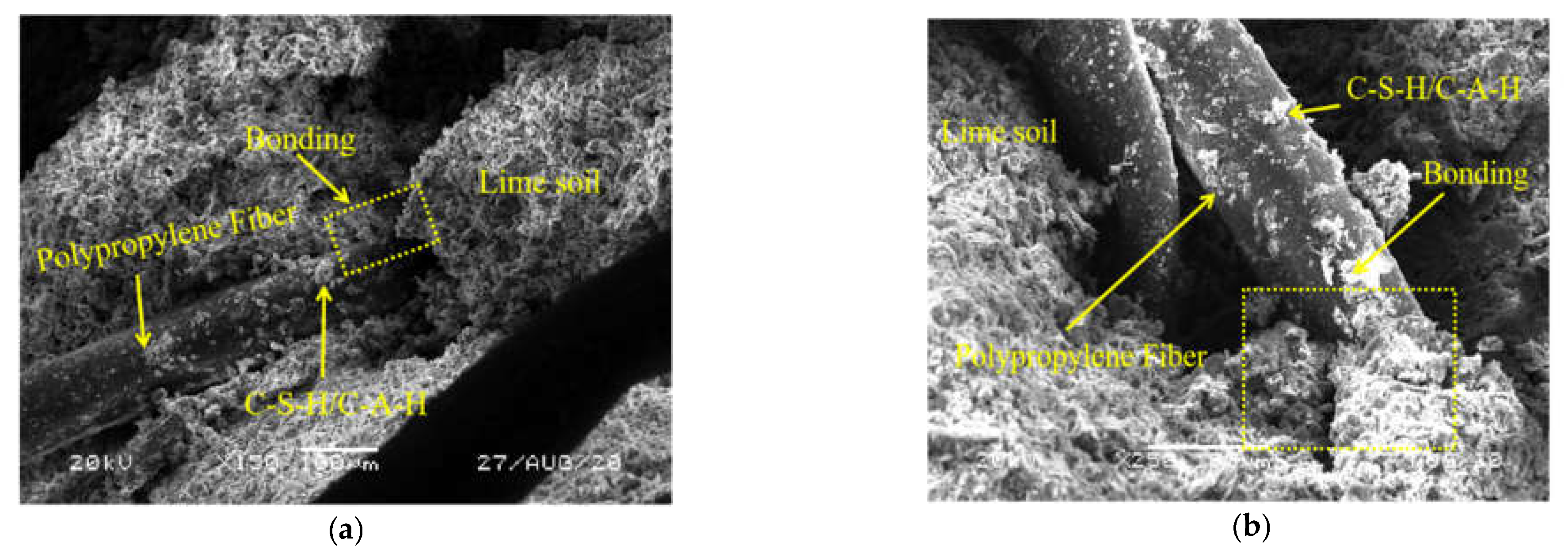 Polymers 14 02606 g008