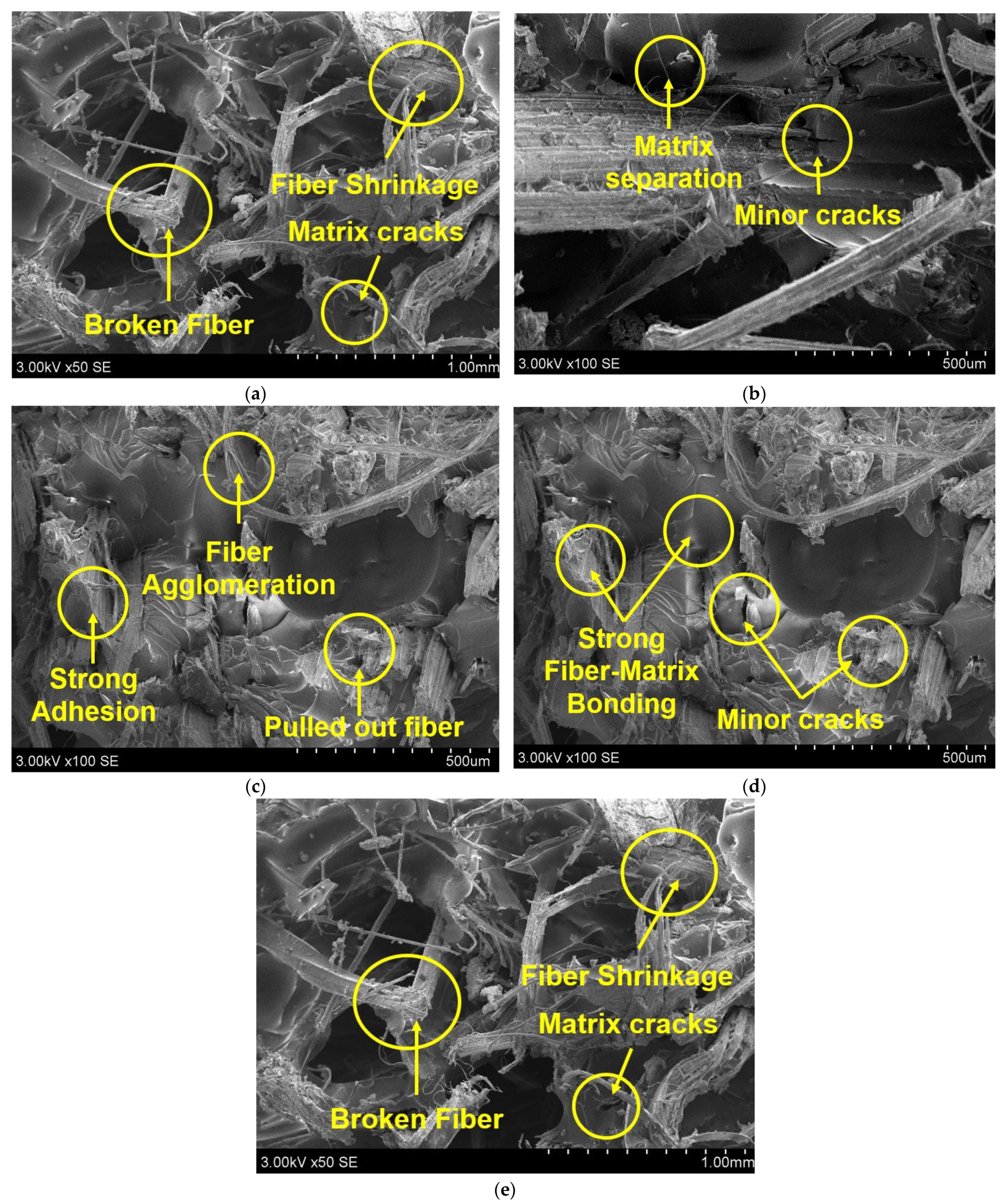 Polymers 14 02612 g003