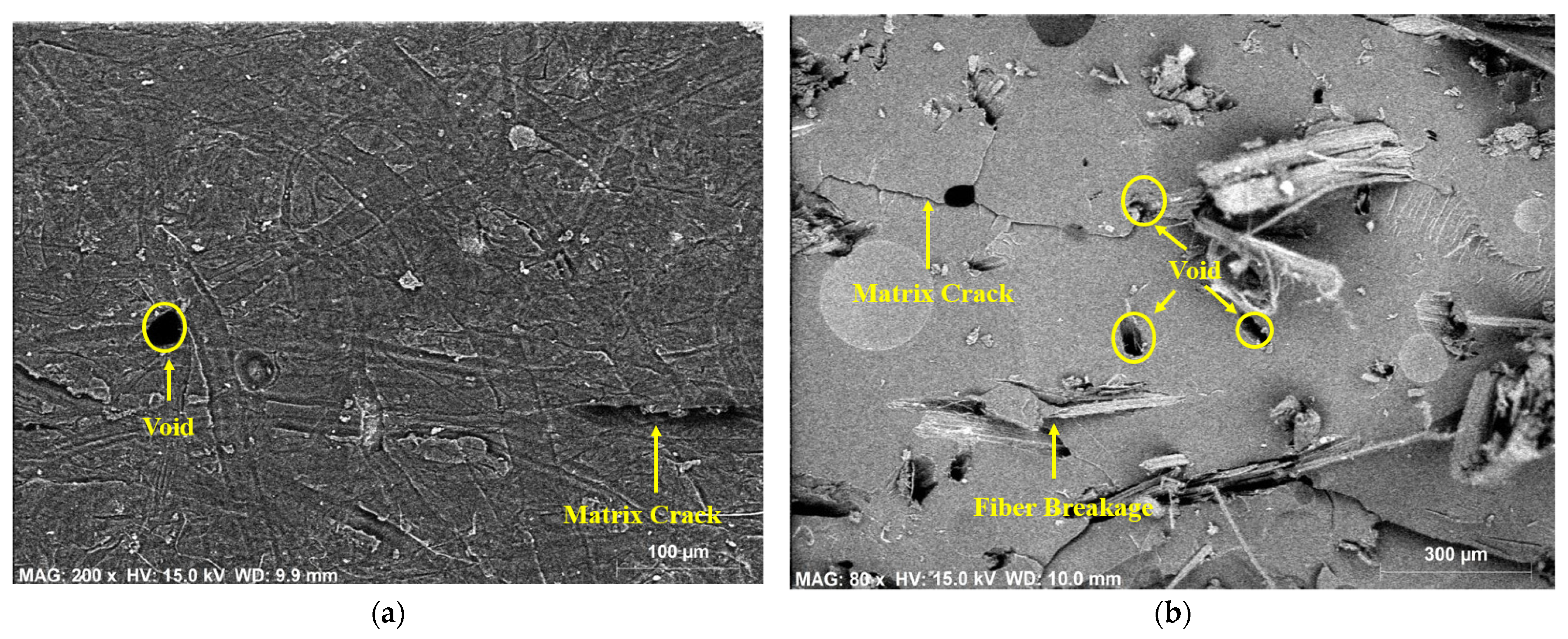 Polymers 14 02612 g006