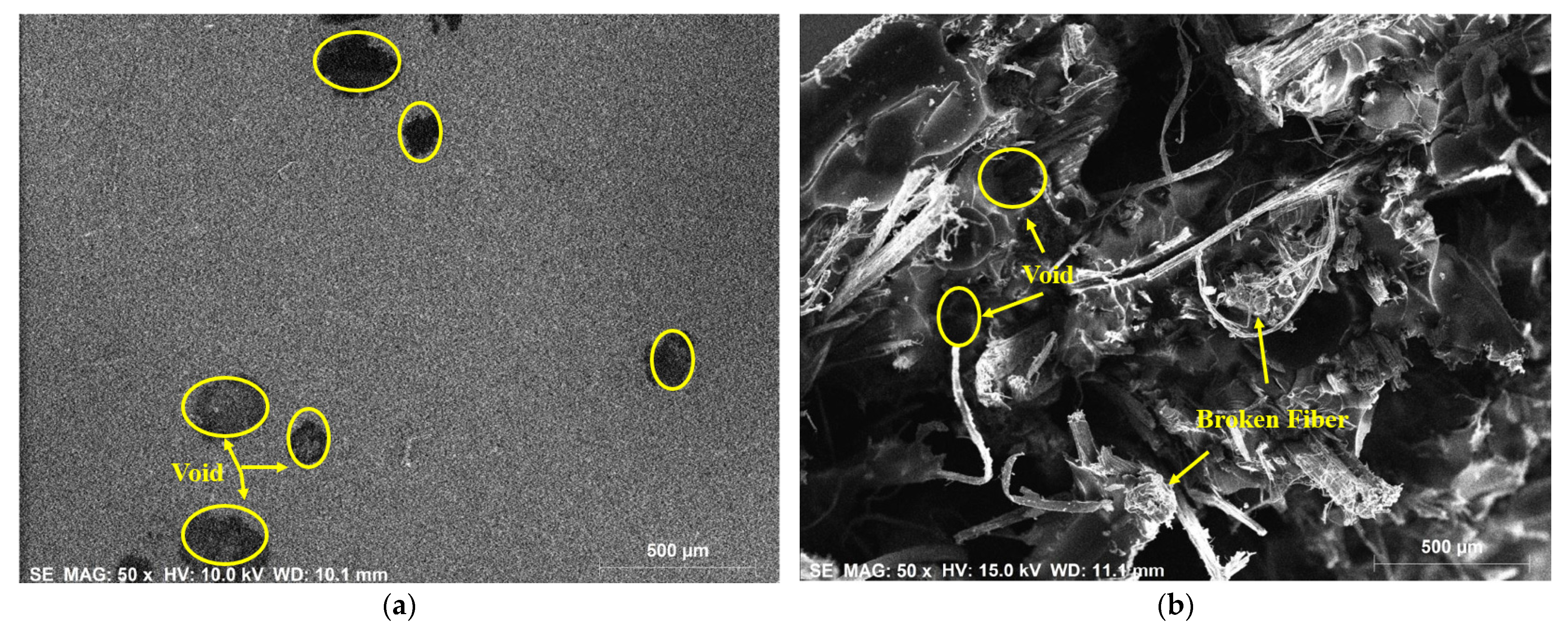 Polymers 14 02612 g008
