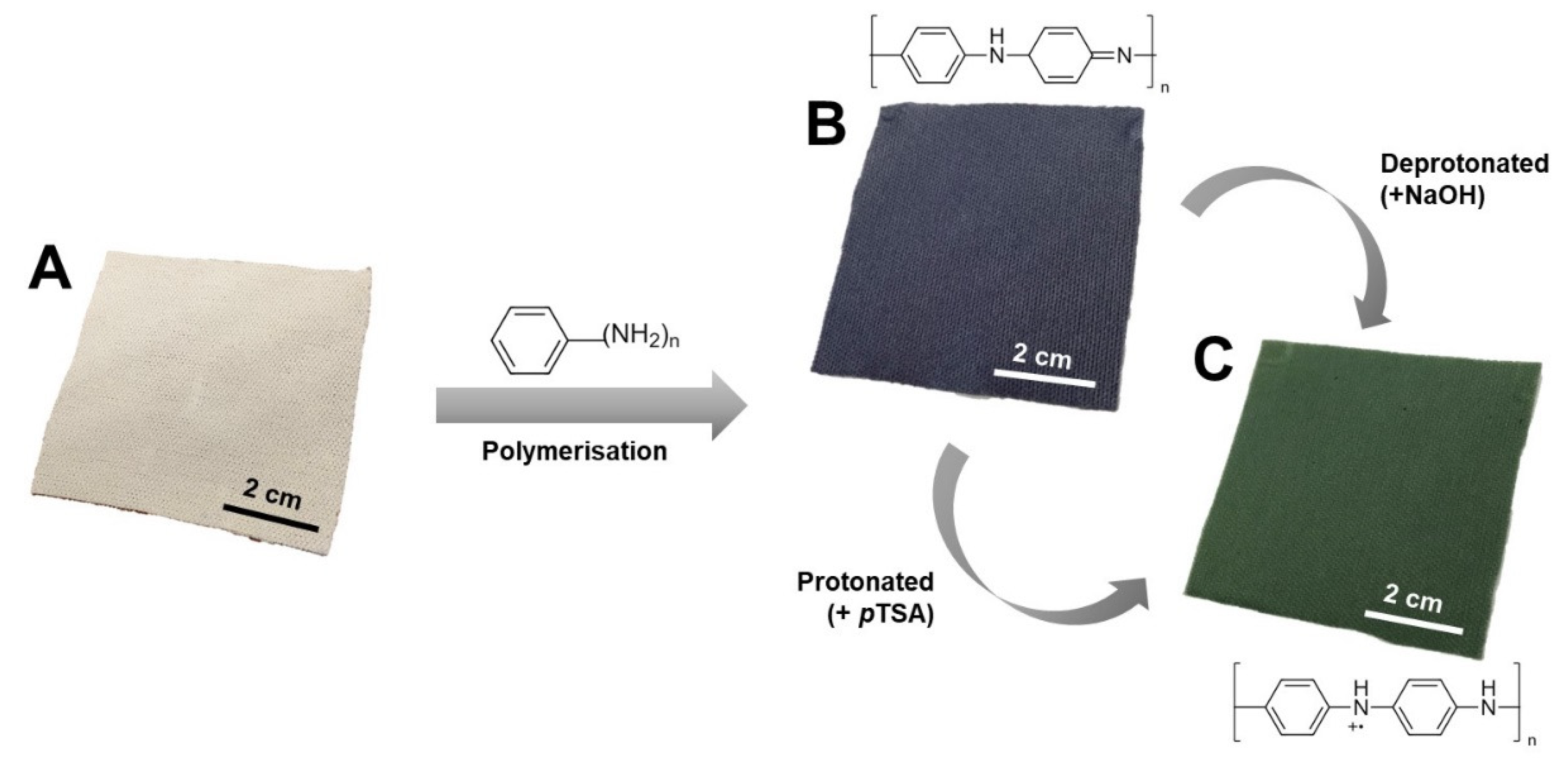 Polymers 14 02617 g001