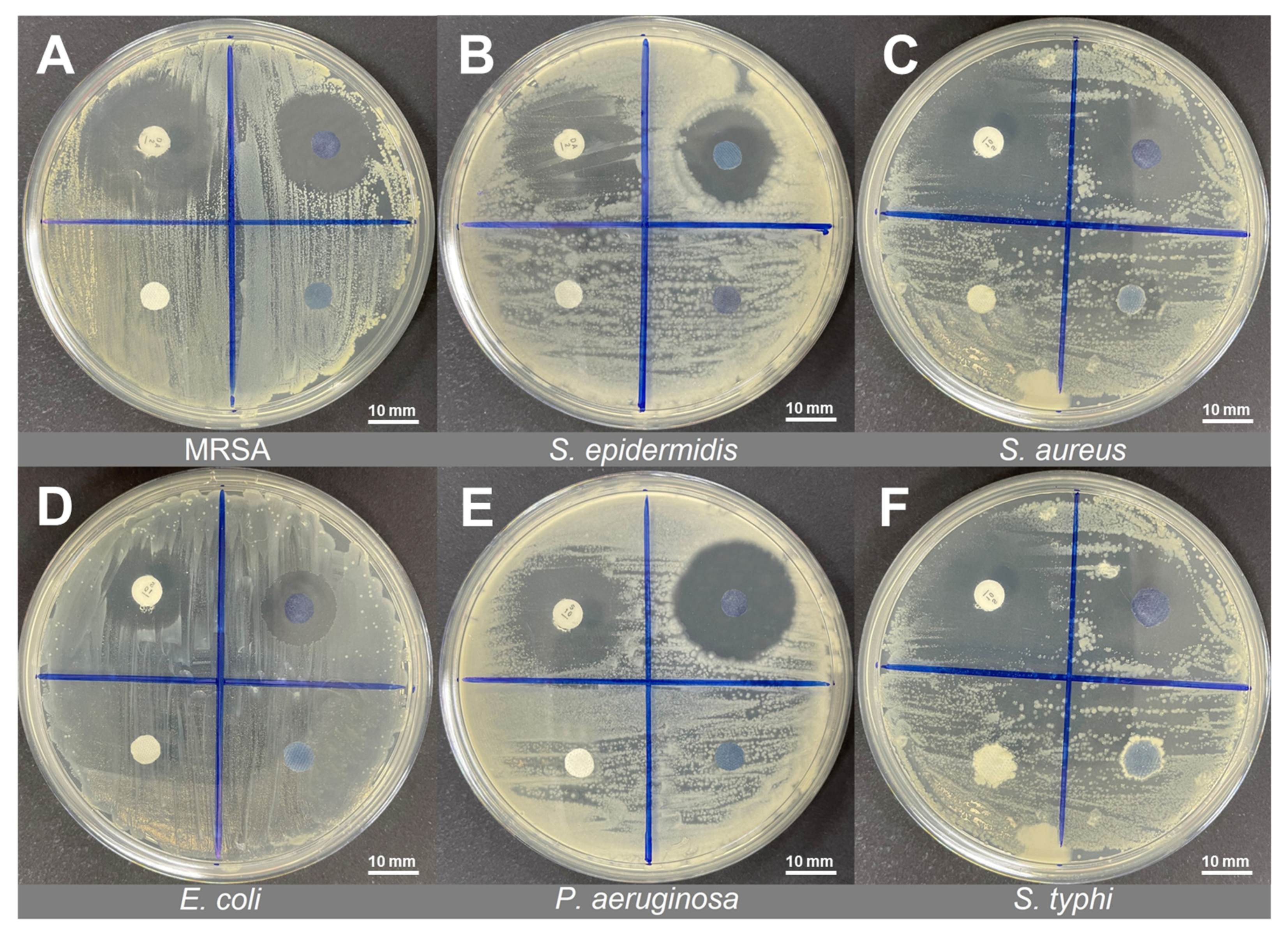 Polymers 14 02617 g003