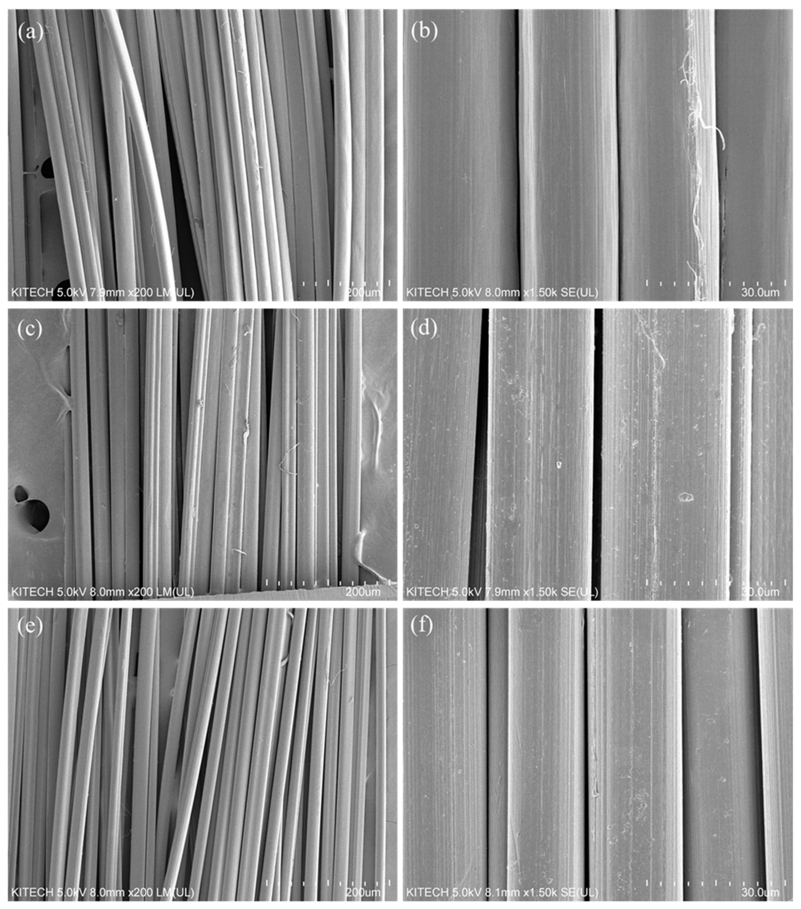 Polymers 14 02625 g005