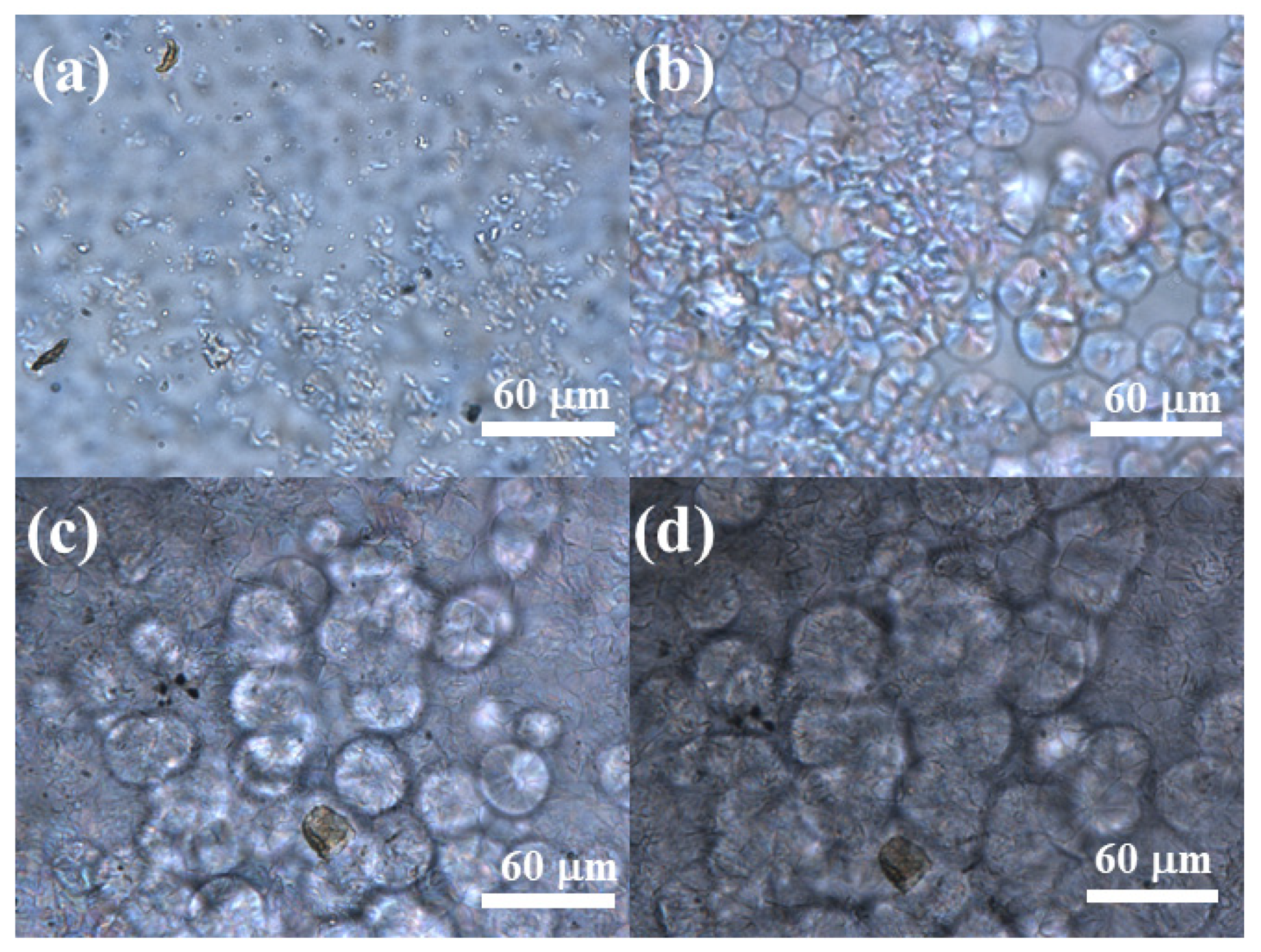 Polymers 14 02630 g011