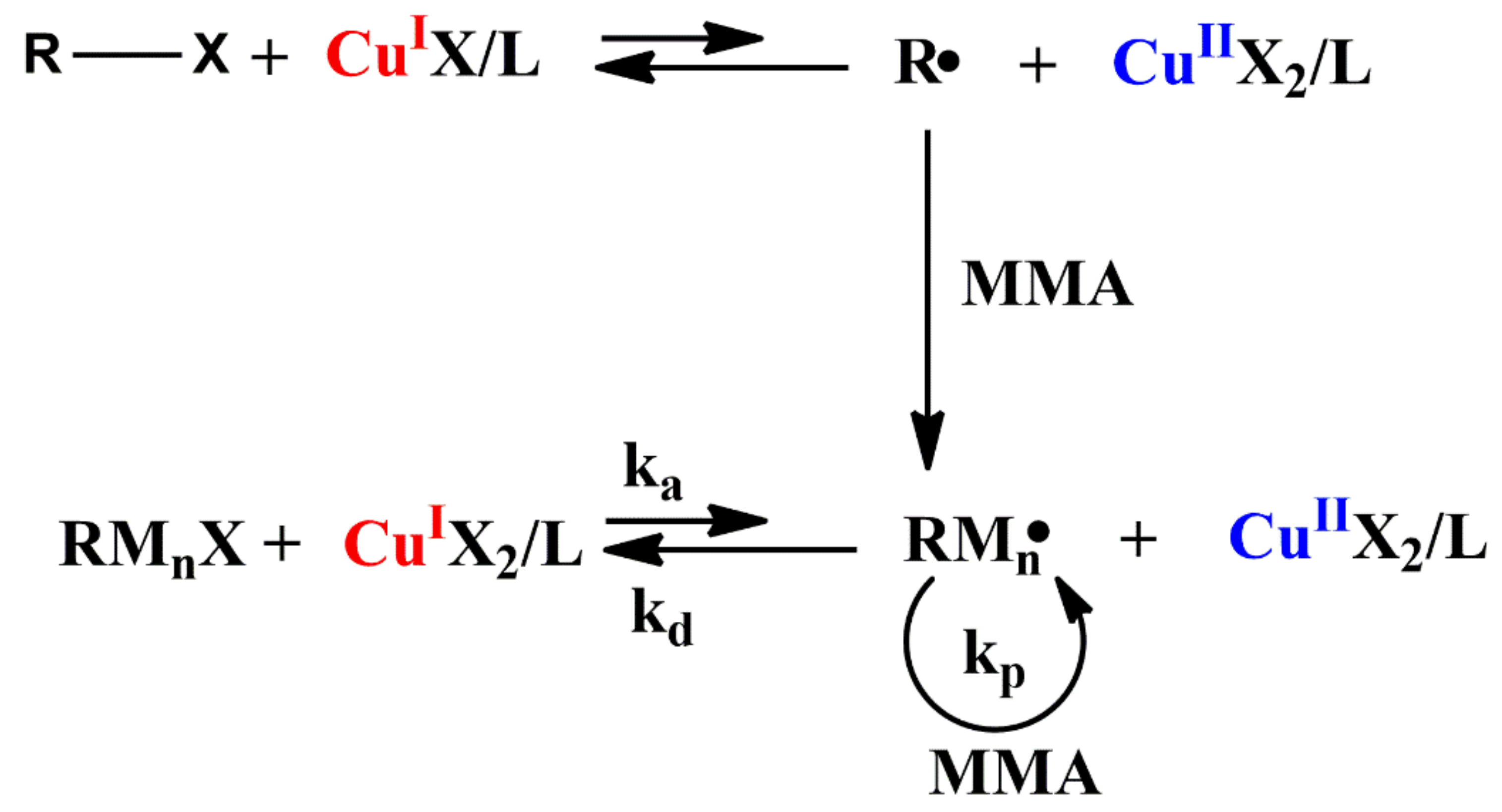 Polymers 14 02632 g002
