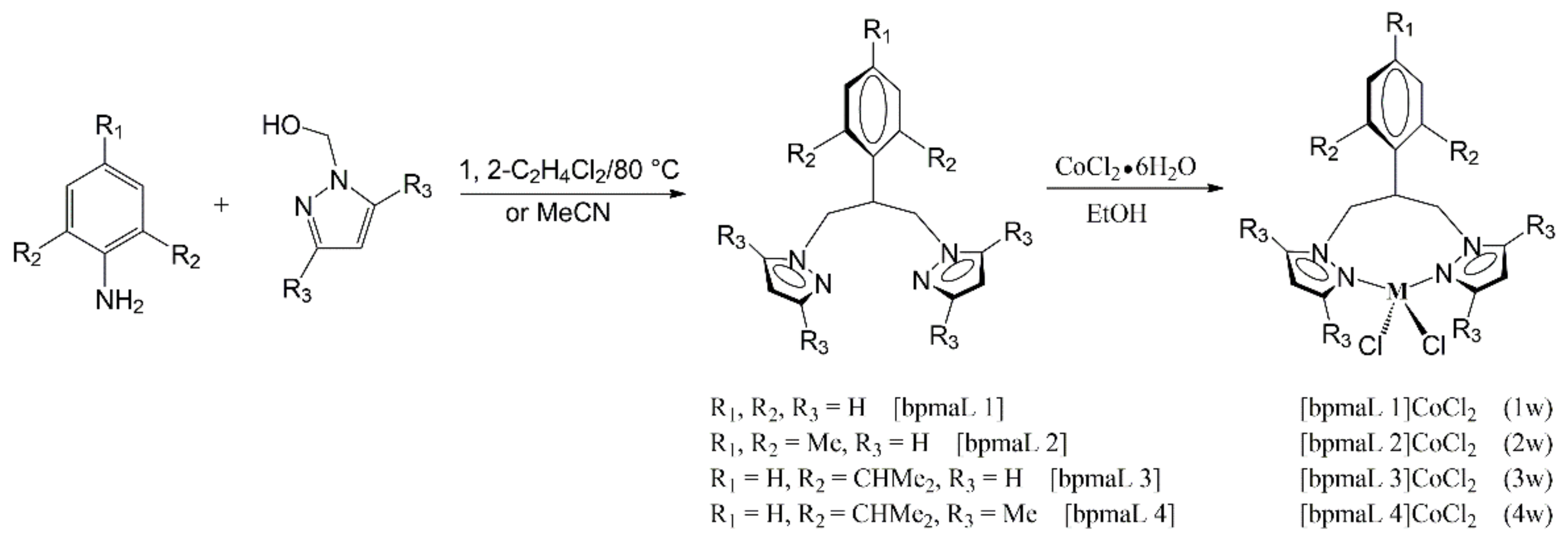 Polymers 14 02632 g006