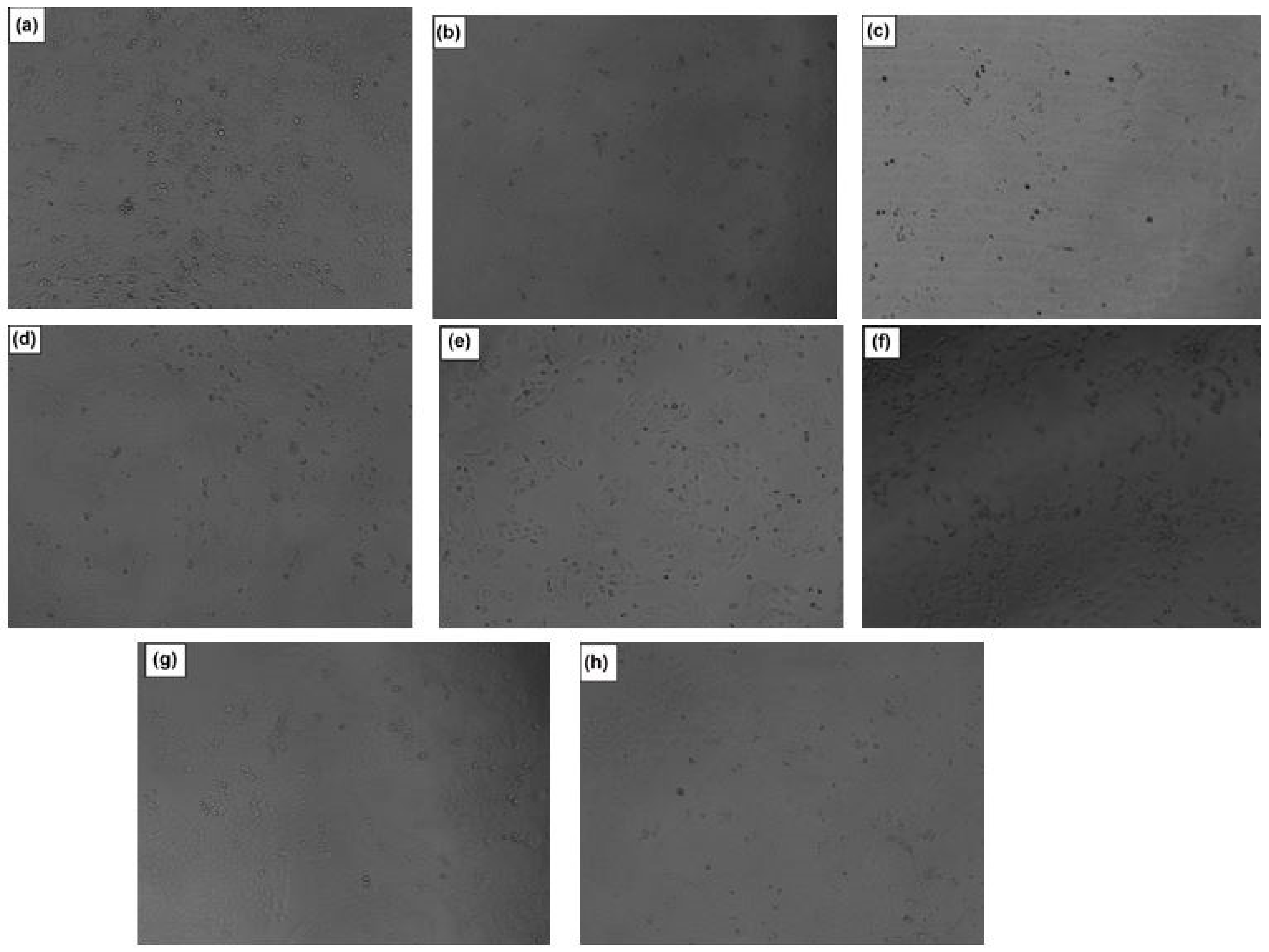 Polymers 14 02633 g014