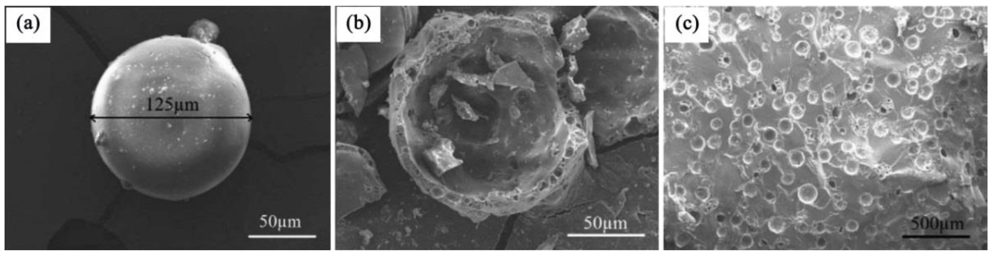 Polymers 14 02670 g006