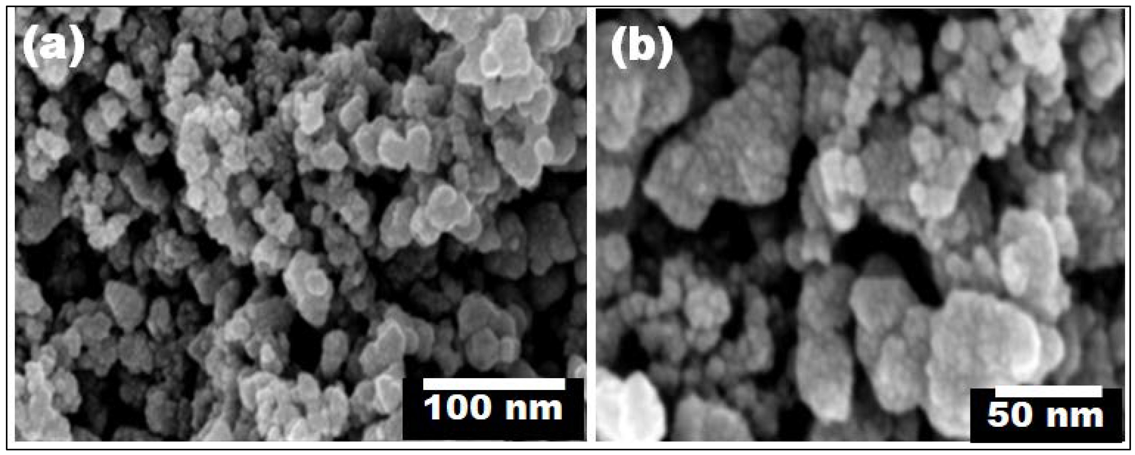 Polymers 14 02677 g004
