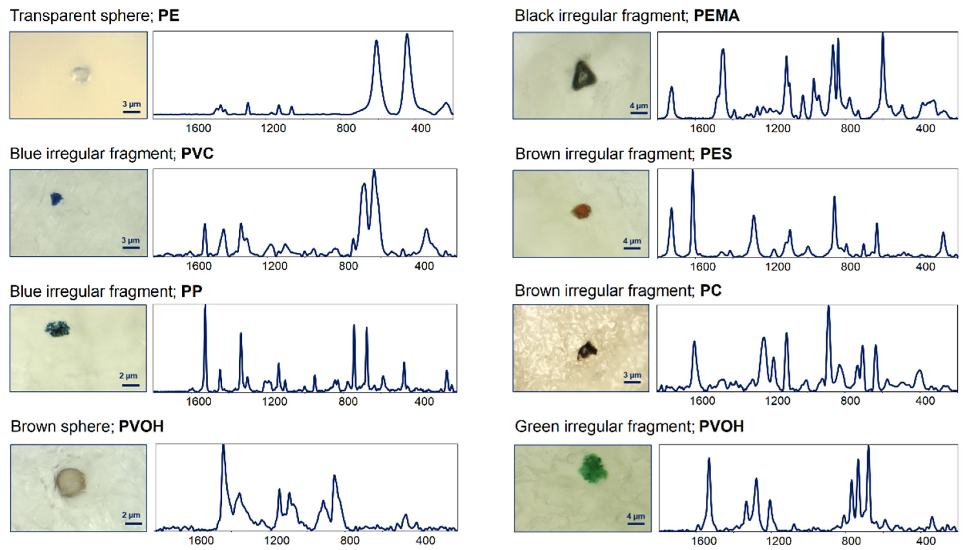 Polymers 14 02700 g001