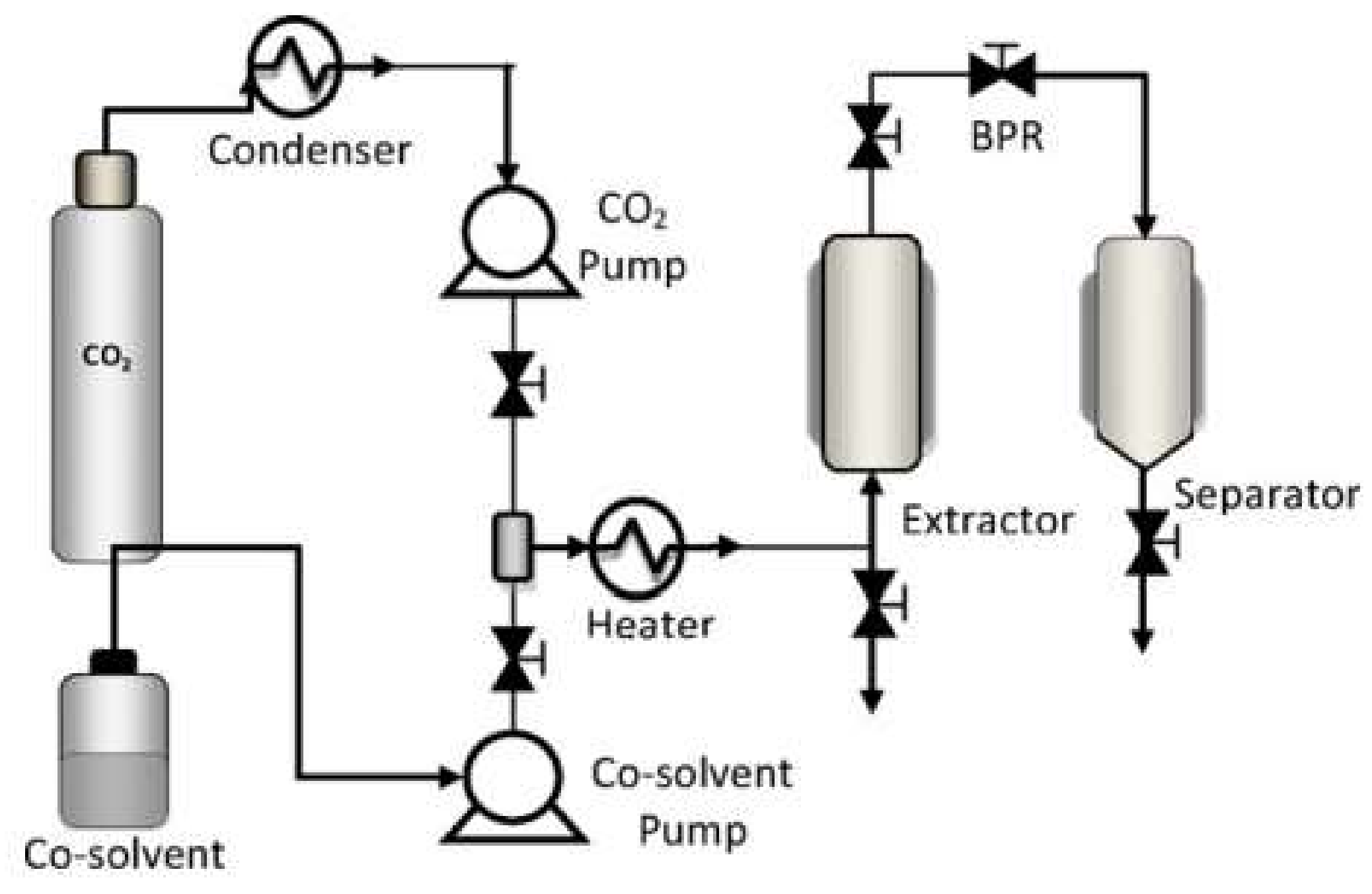 Polymers 14 02706 g001