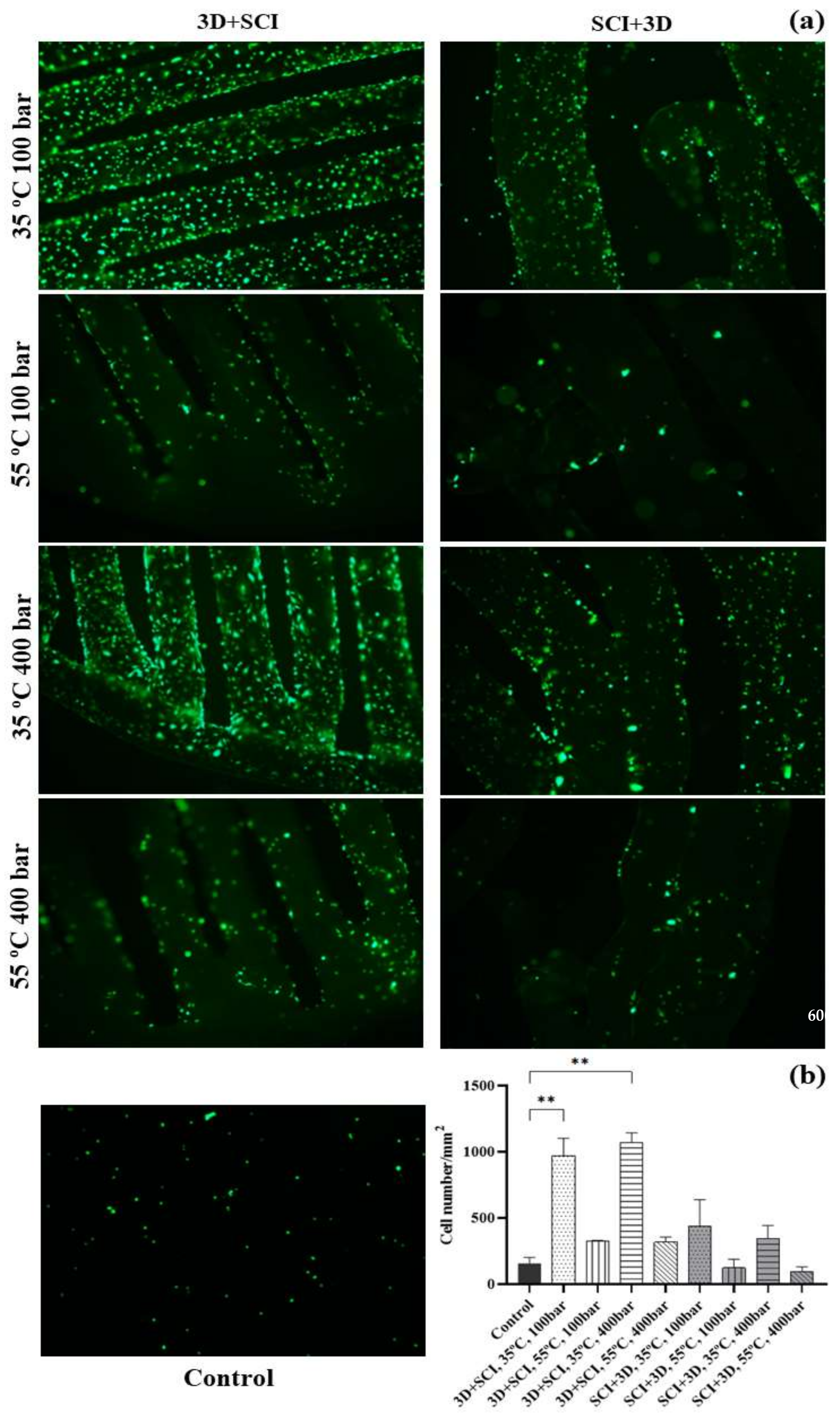 Polymers 14 02706 g007