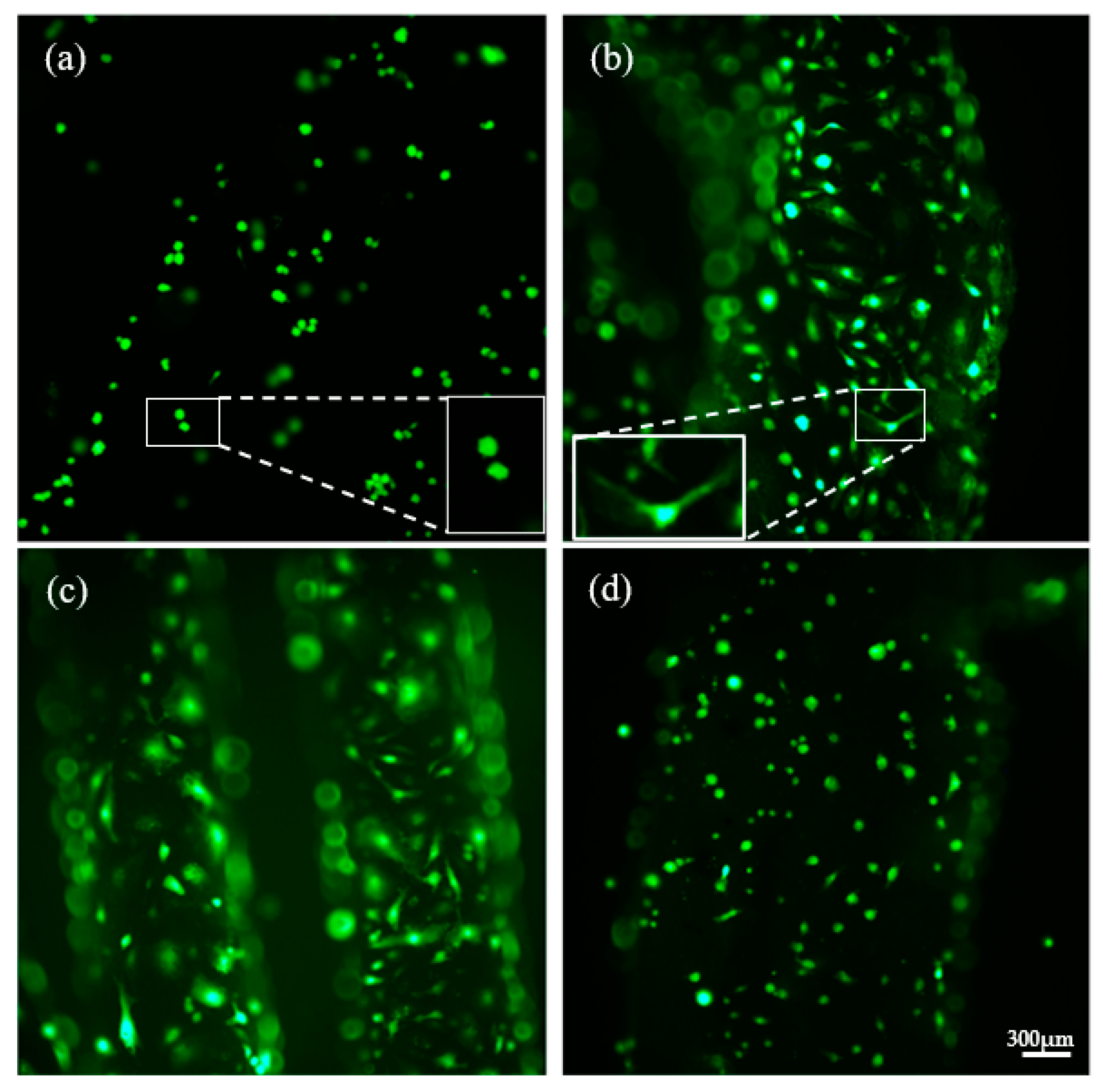 Polymers 14 02706 g008