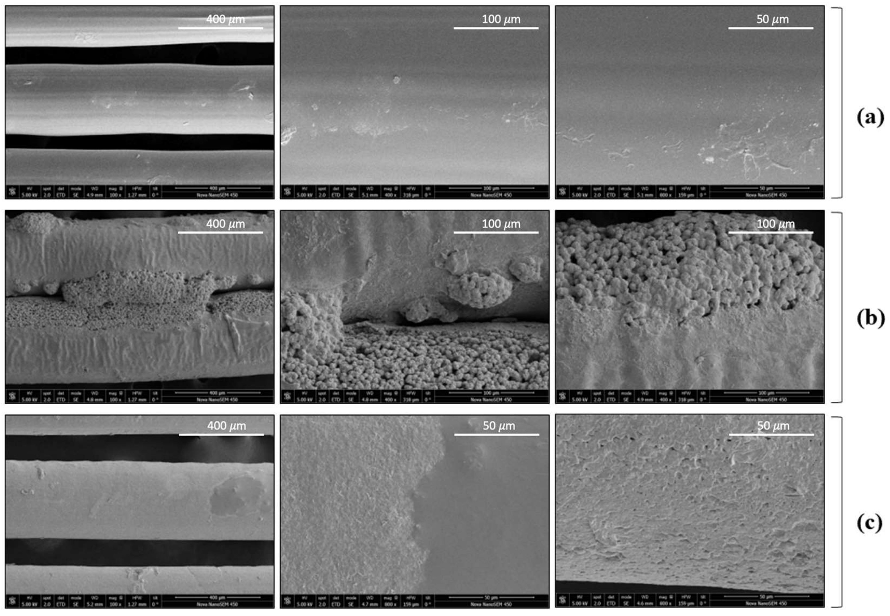 Polymers 14 02706 g009