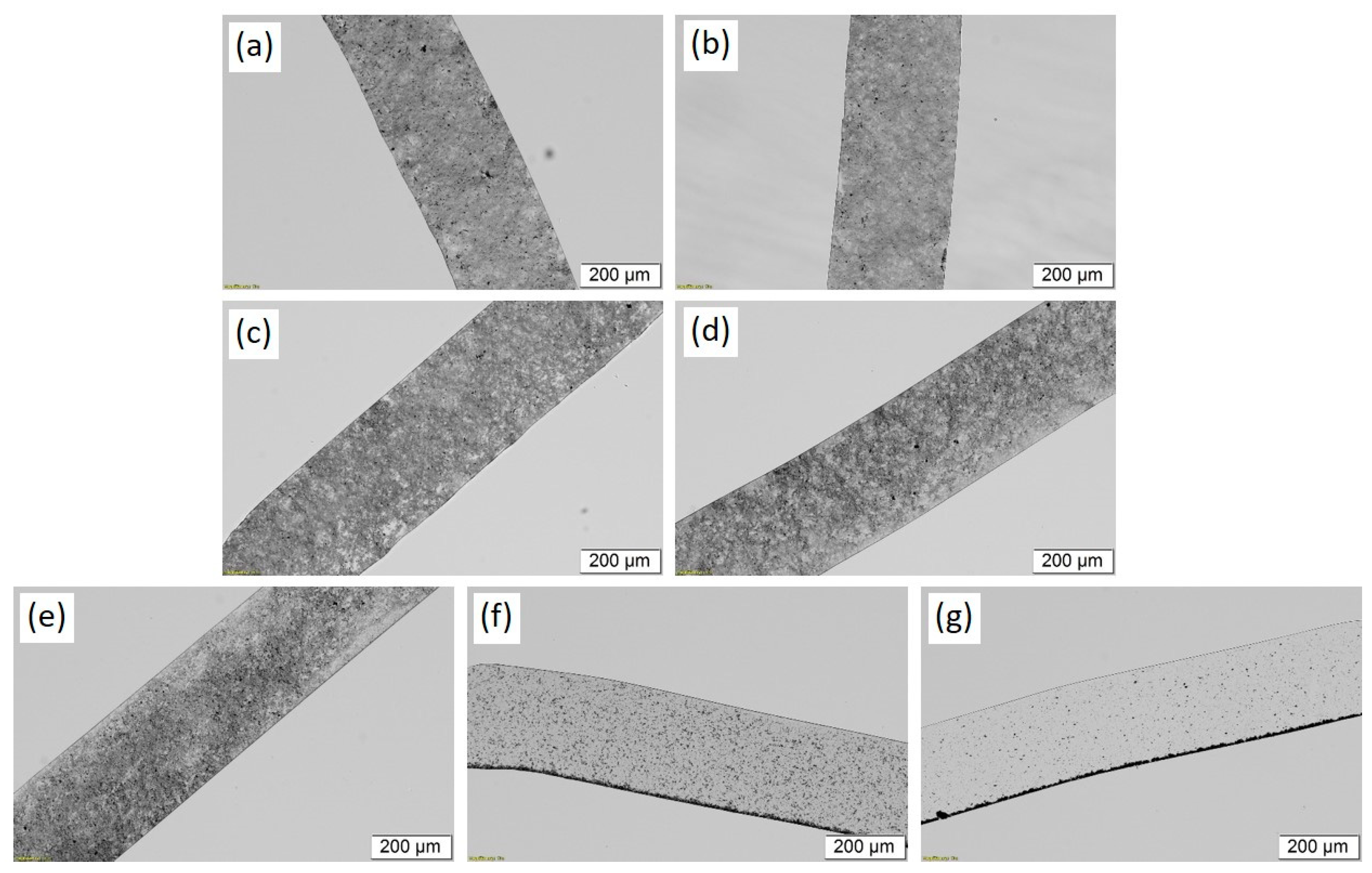 Polymers 14 02715 g008