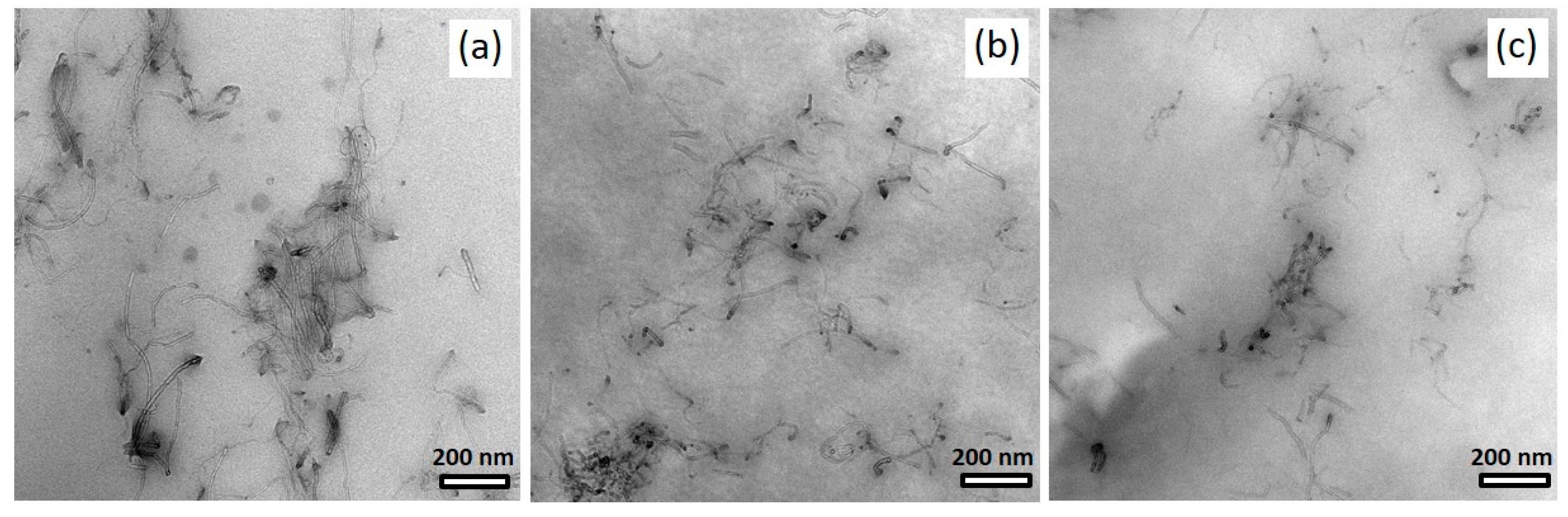 Polymers 14 02715 g010