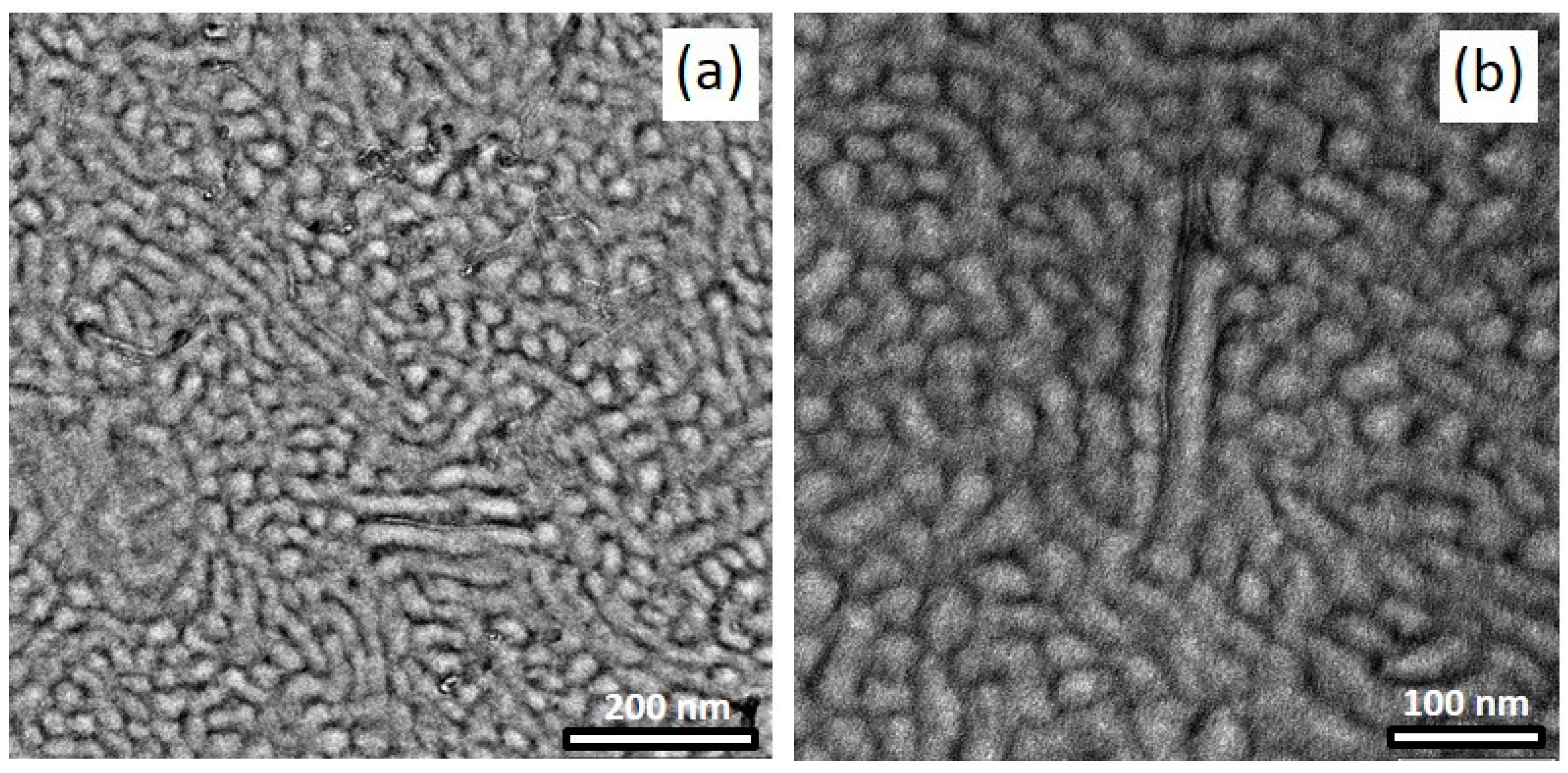 Polymers 14 02715 g012