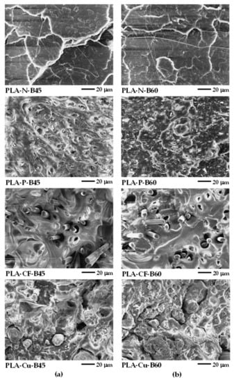 Cross-sectional SEM images of PLA and PLA-CF filament. [60]