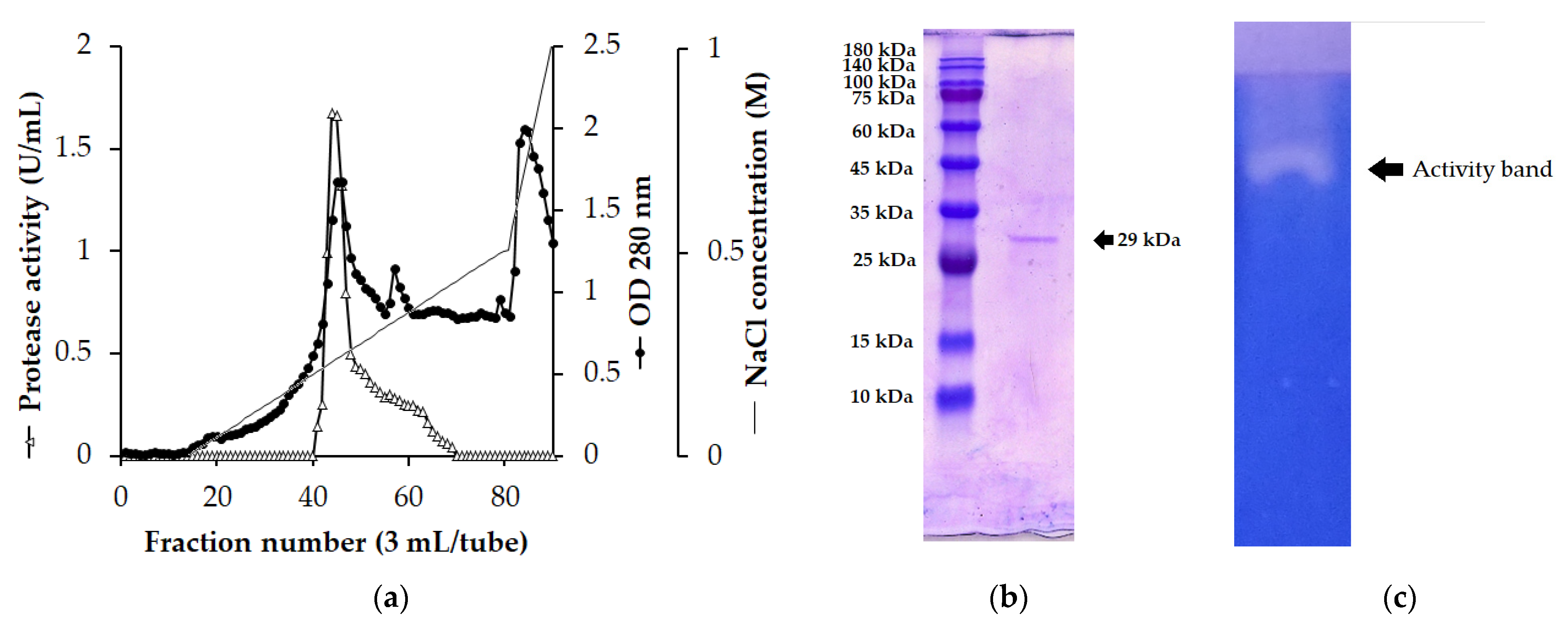 Polymers 14 02741 g002