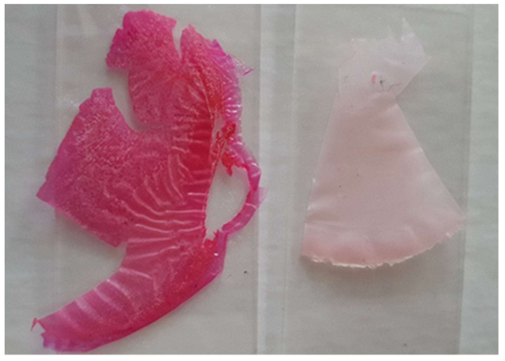 Polymers 14 02750 g007