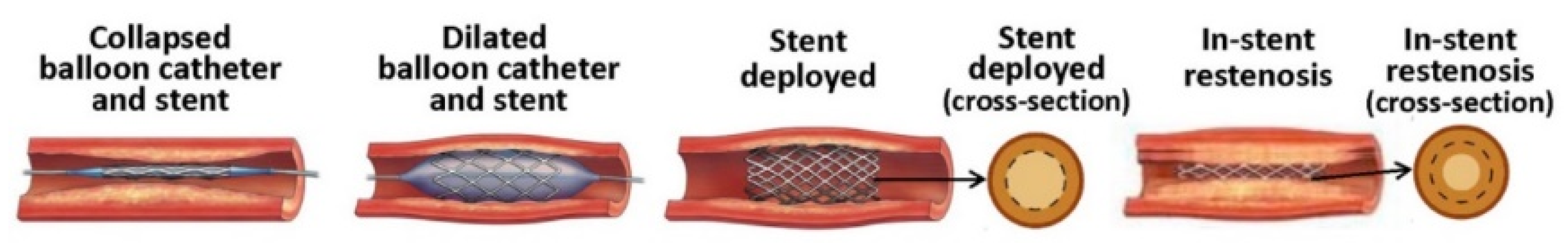 Polymers 14 02751 g002 Polymers 14 02751 g002