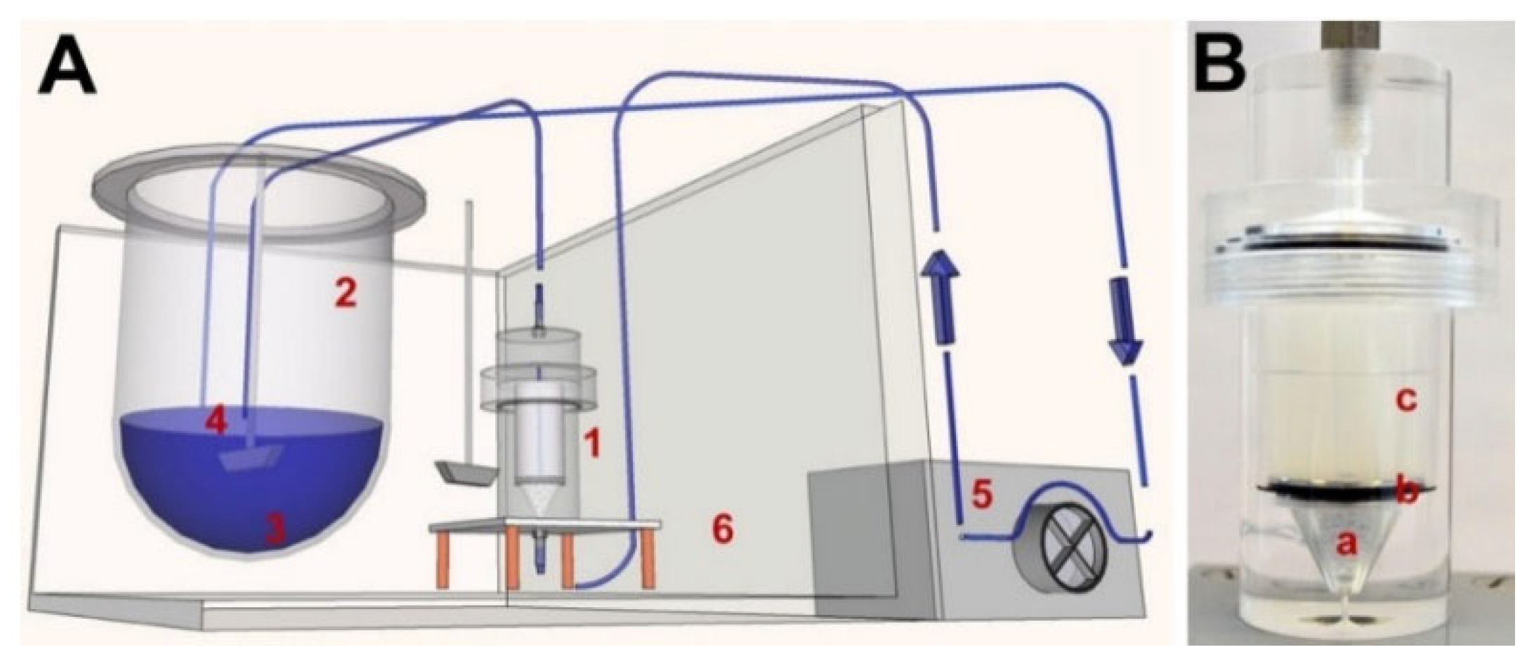 Polymers 14 02751 g011 Polymers 14 02751 g011