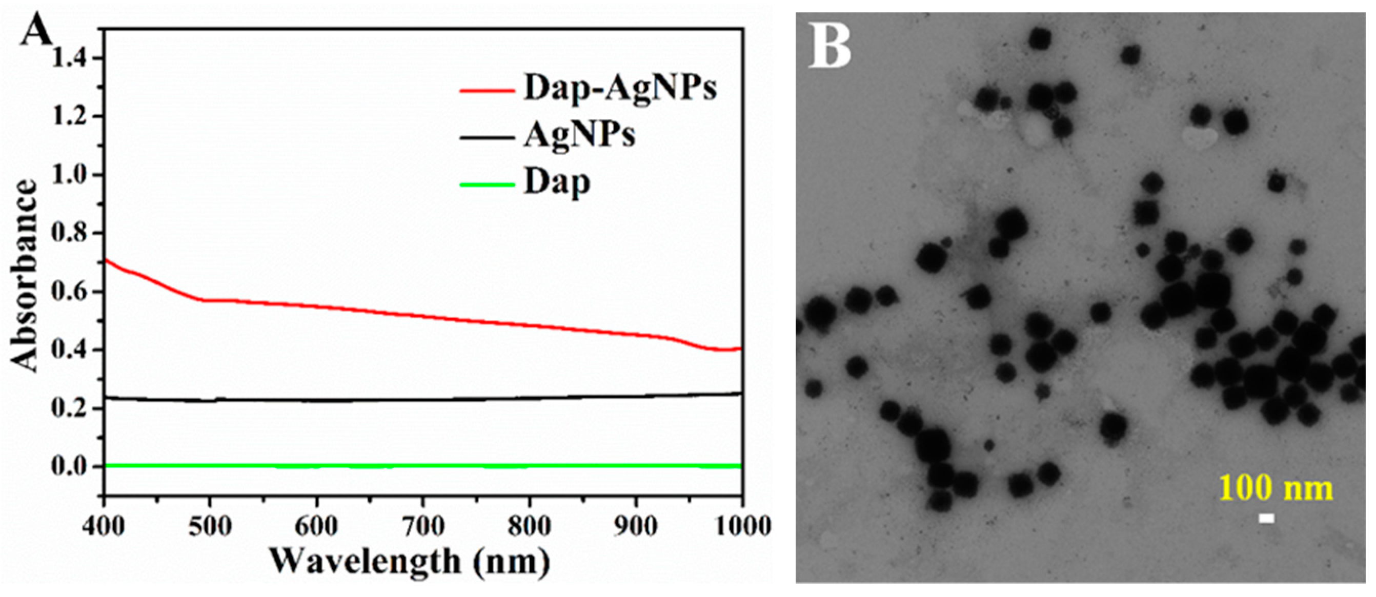 Polymers 14 02787 g001