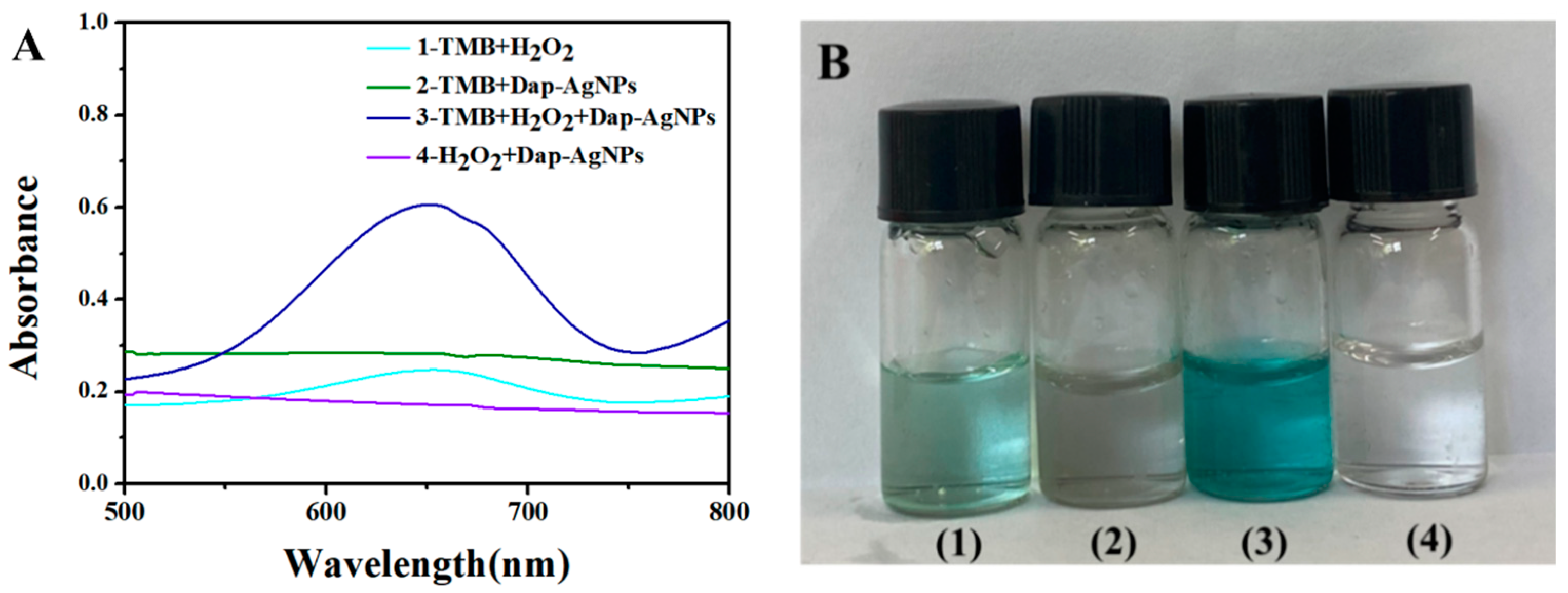 Polymers 14 02787 g004
