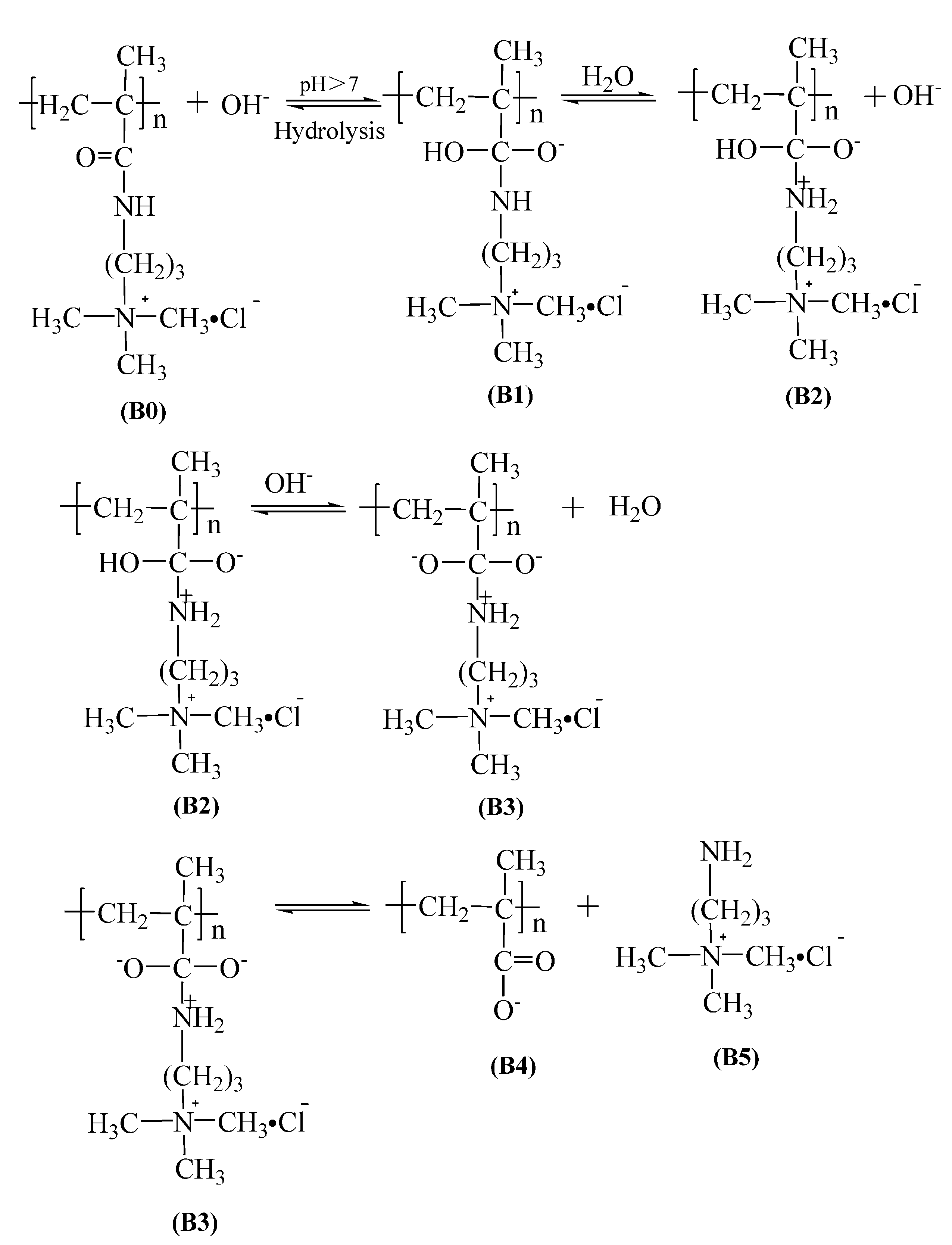 Polymers | Free Full-Text | Study on Hydrolysis Properties and ...