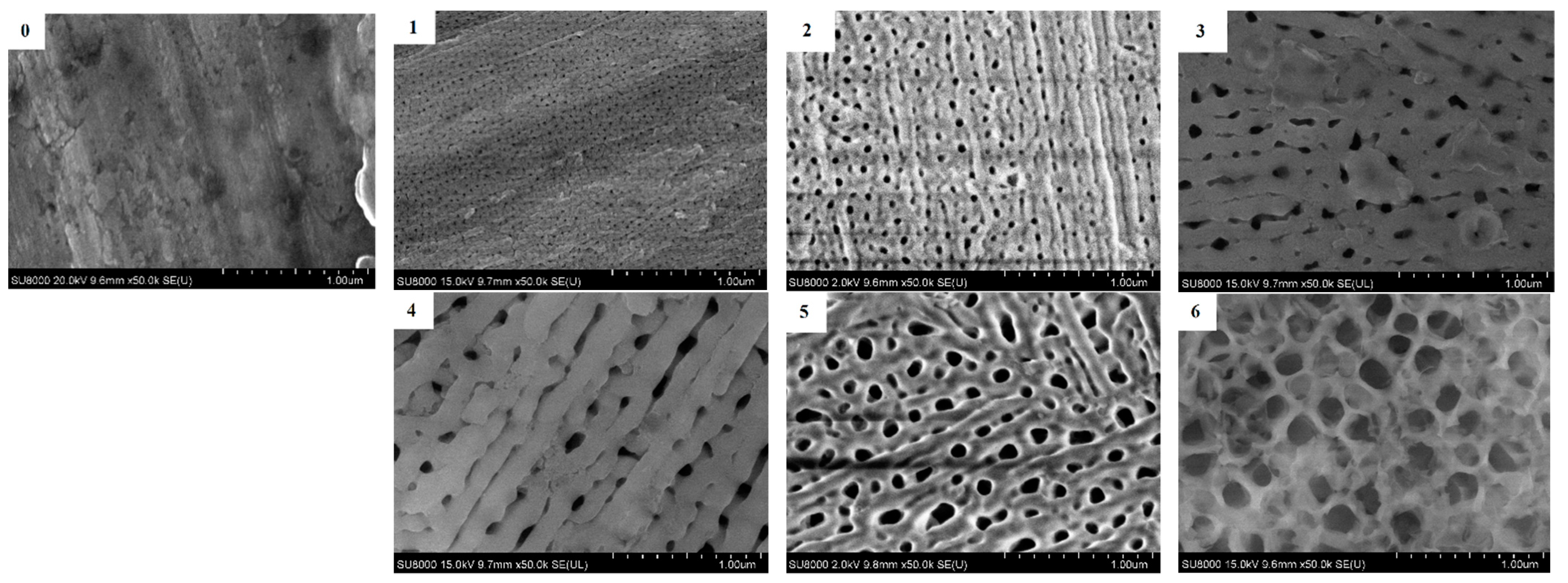 Polymers Free Full Text Chemical Structural Coherence Principle On Polymers For Better Adhesion Html