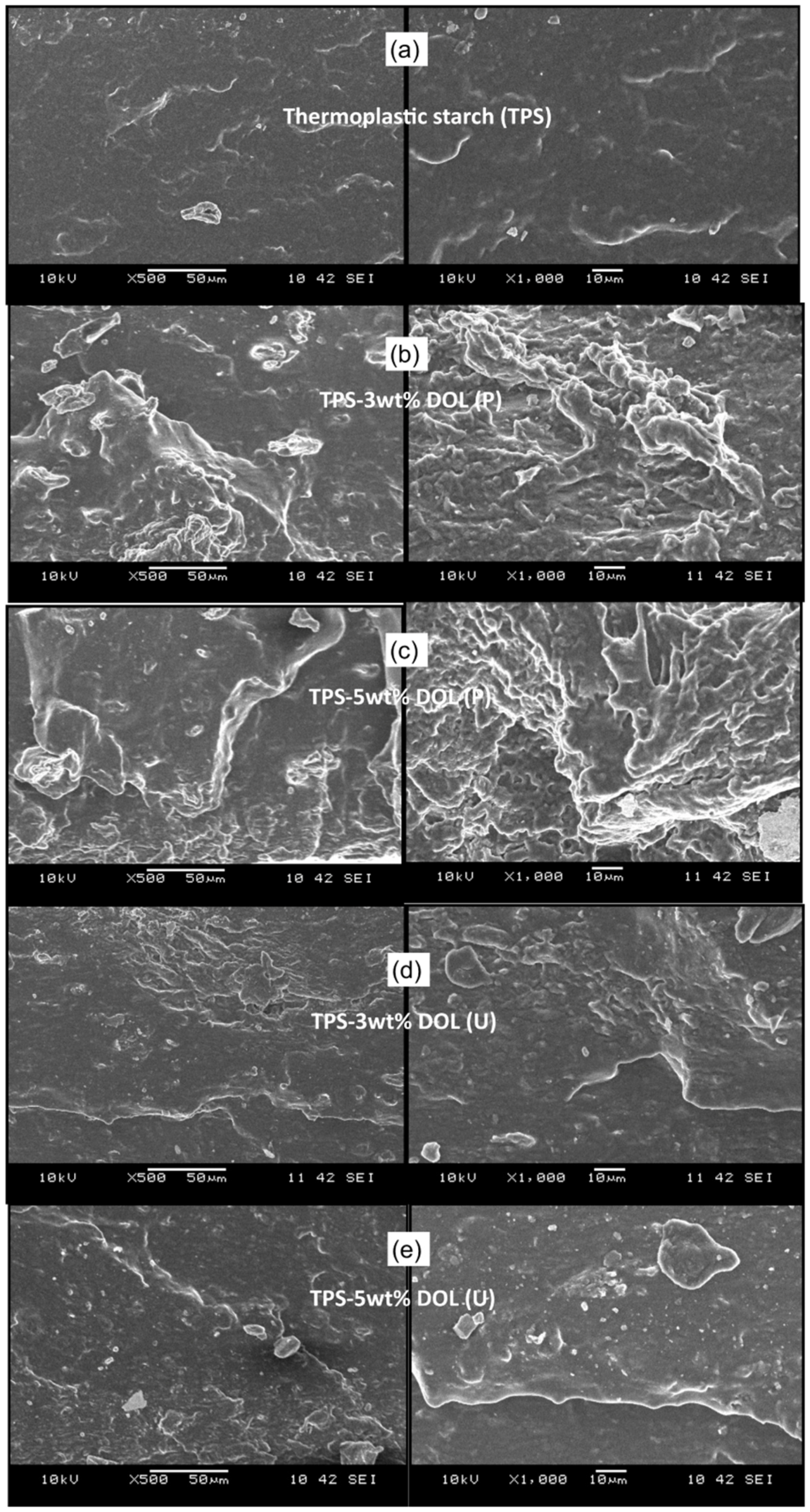 Polymers 14 02843 g010 Polymers 14 02843 g010