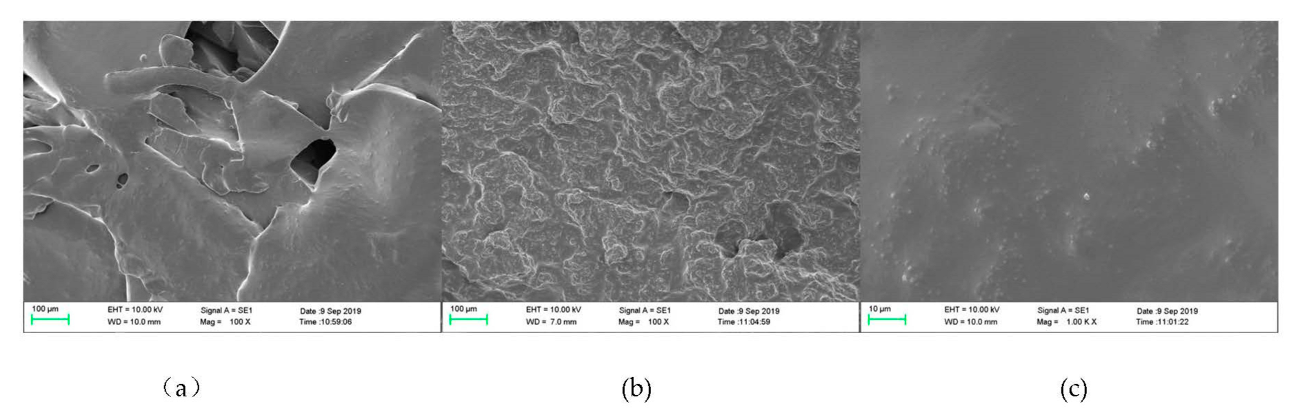 Polymers 14 02863 g005