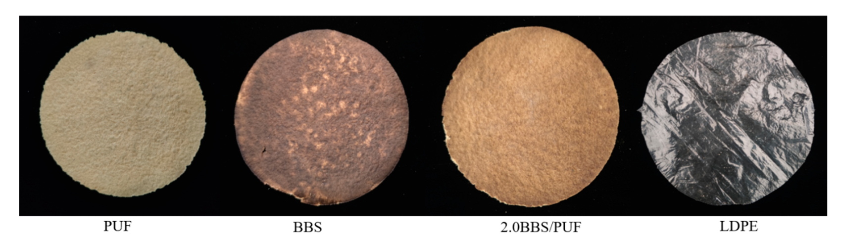 Polymers 14 02863 g006