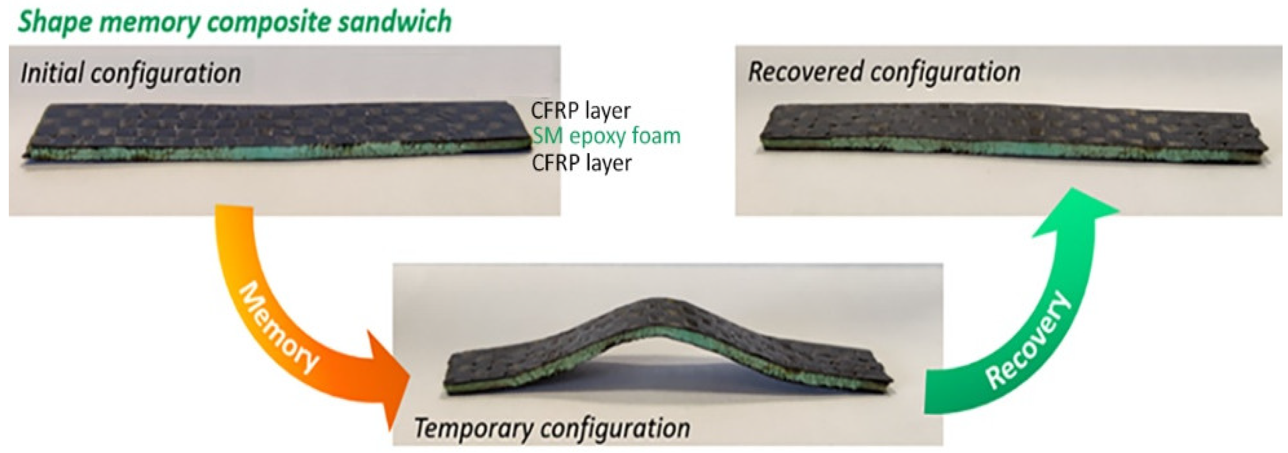 Polymers 14 02945 g003