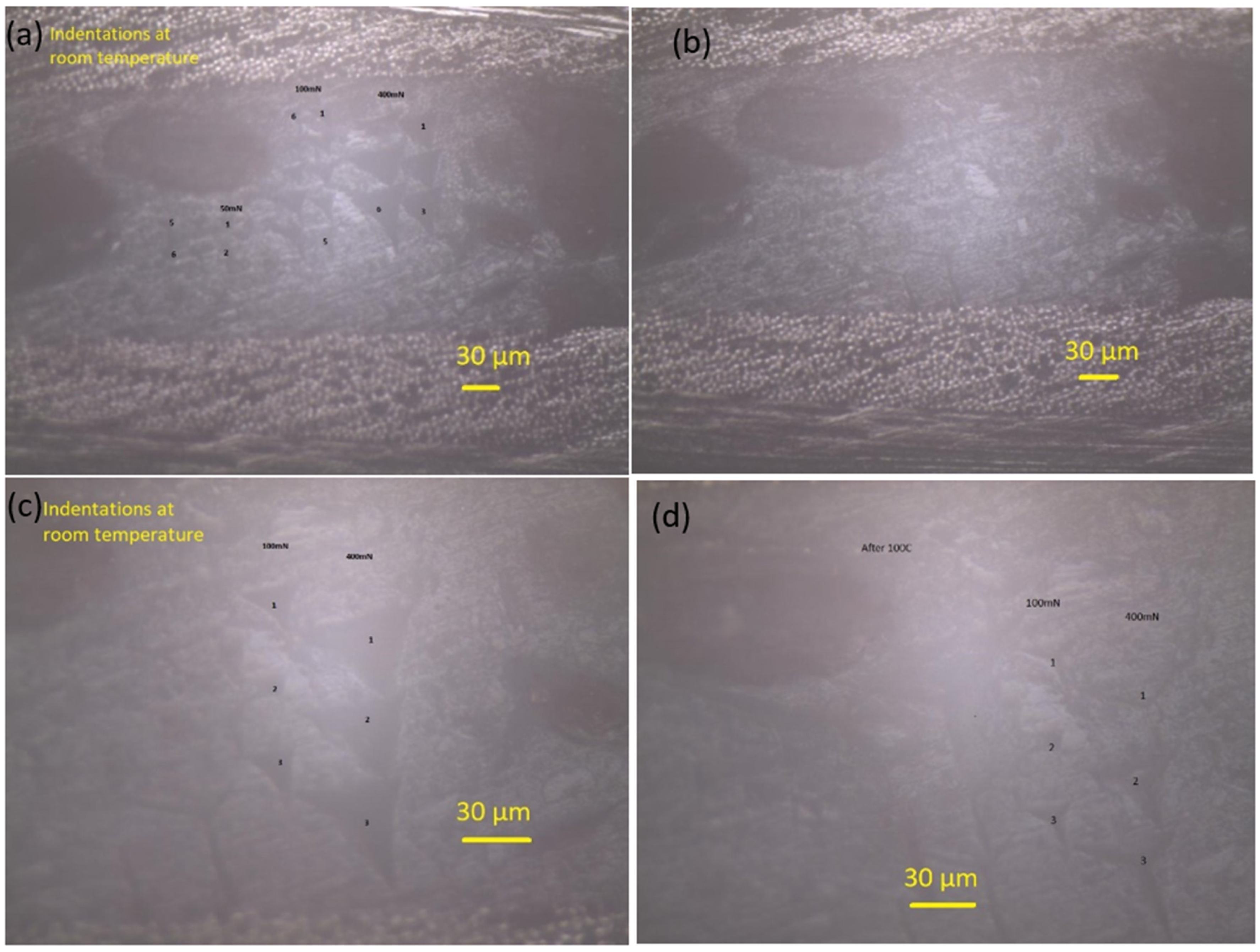 Polymers 14 02945 g015